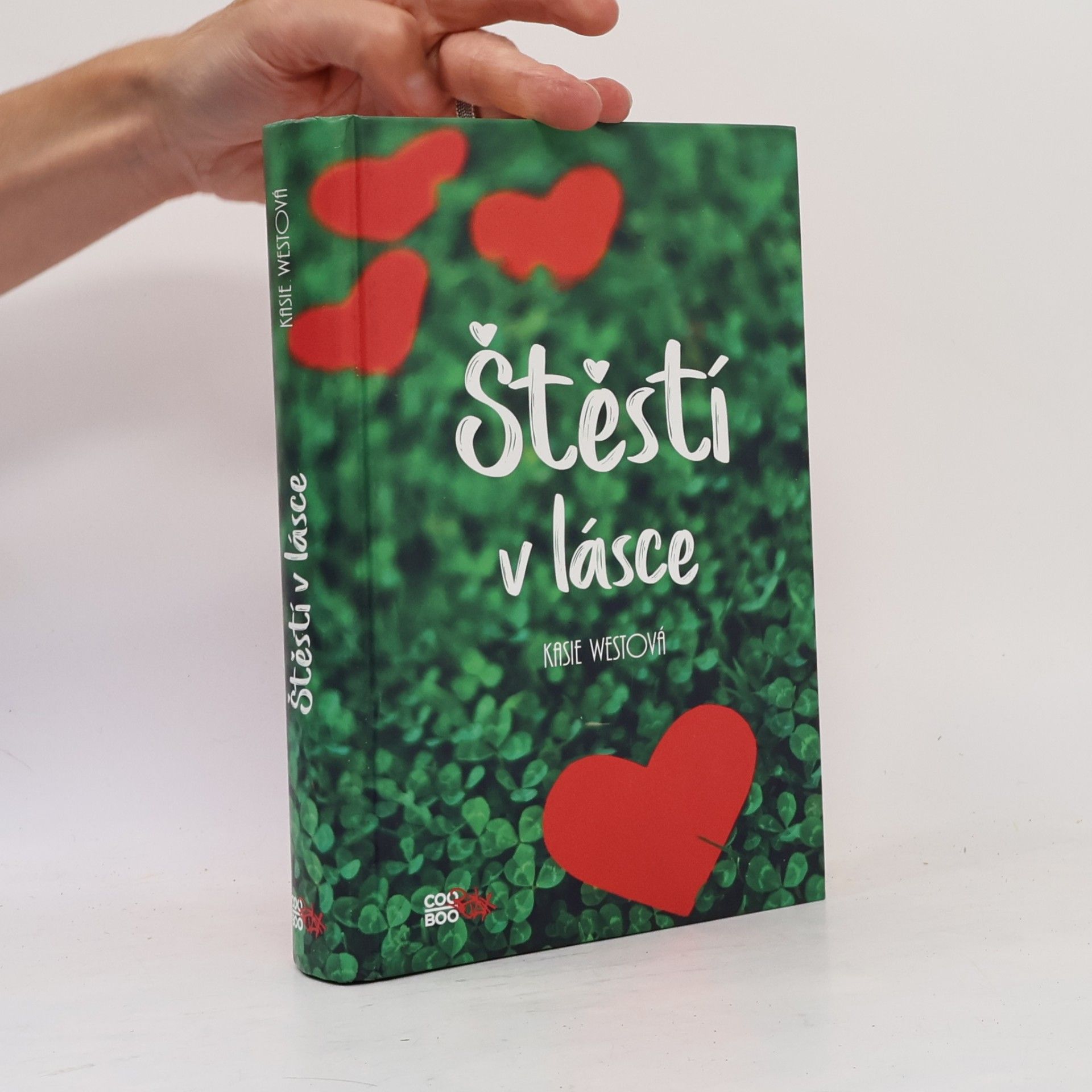 Kasie West Štěstí v lásce