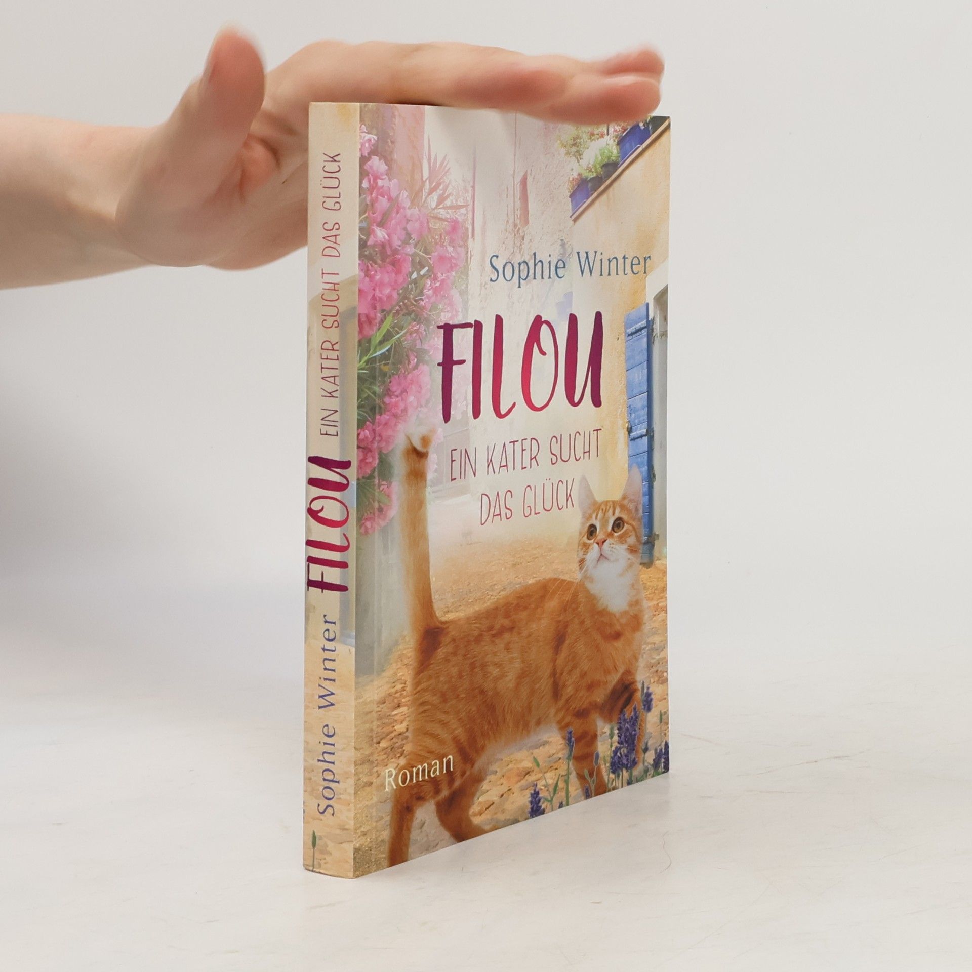 Sophie Winter Filou. Ein Kater sucht das Glück