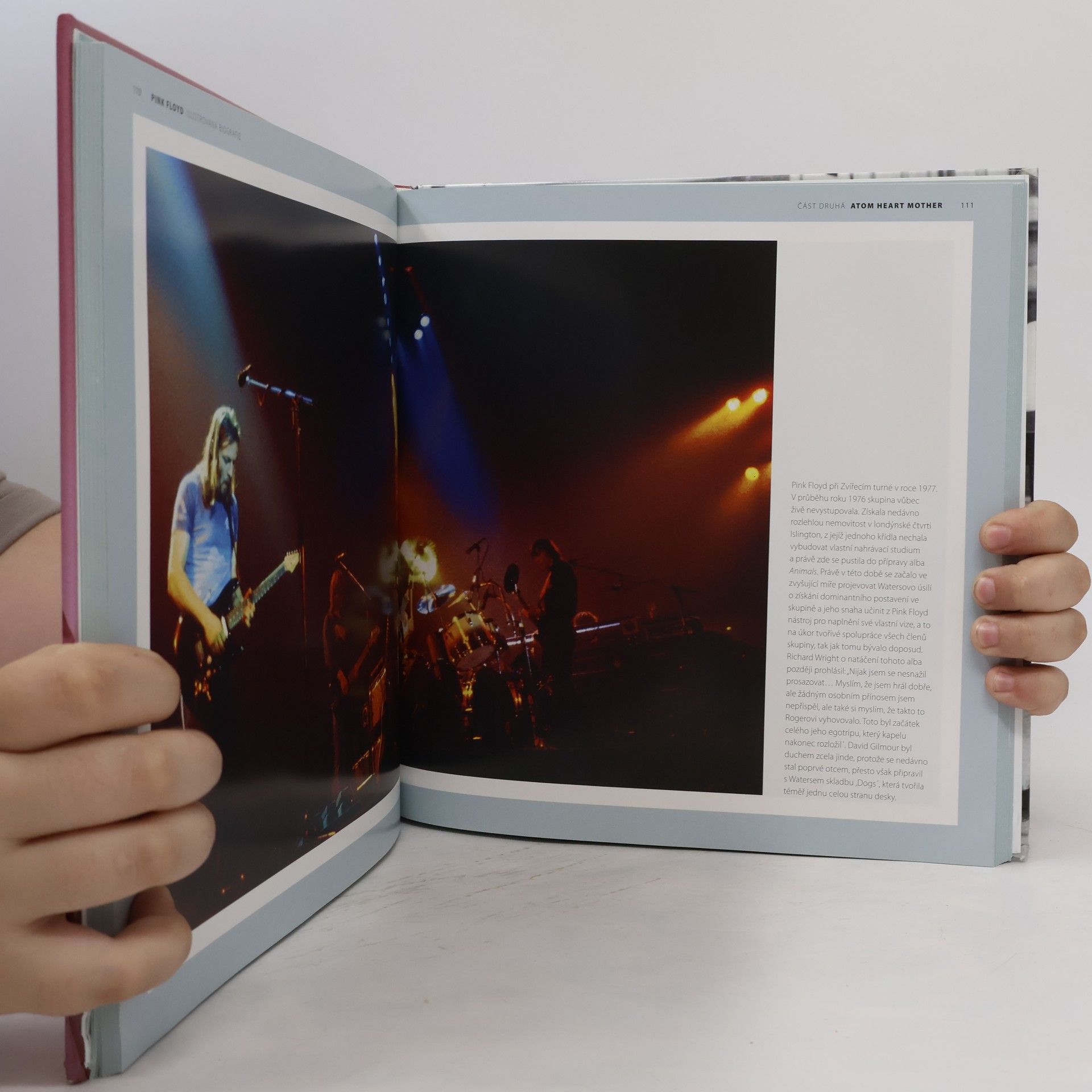 Marie Clayton Pink Floyd - Ilustrovaná biografie