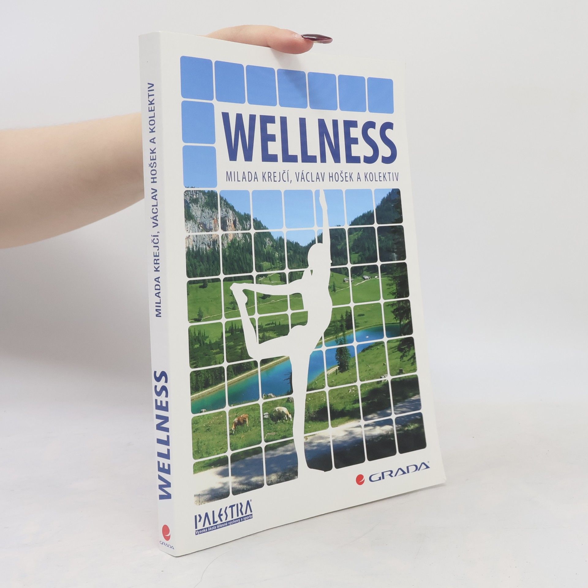 Milada Krejčí Wellness