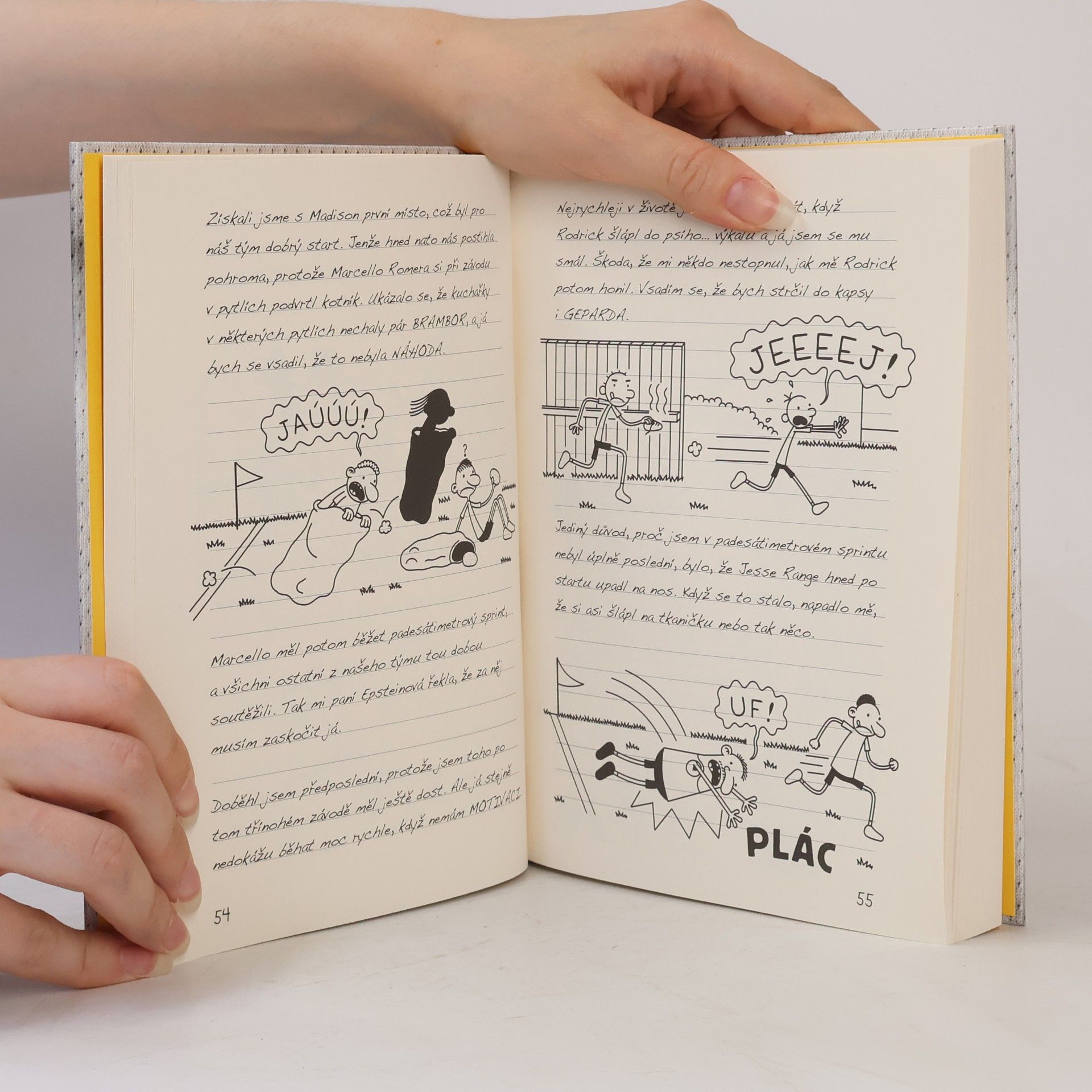 Jeff Kinney Deník malého poseroutky 16. Velká šance