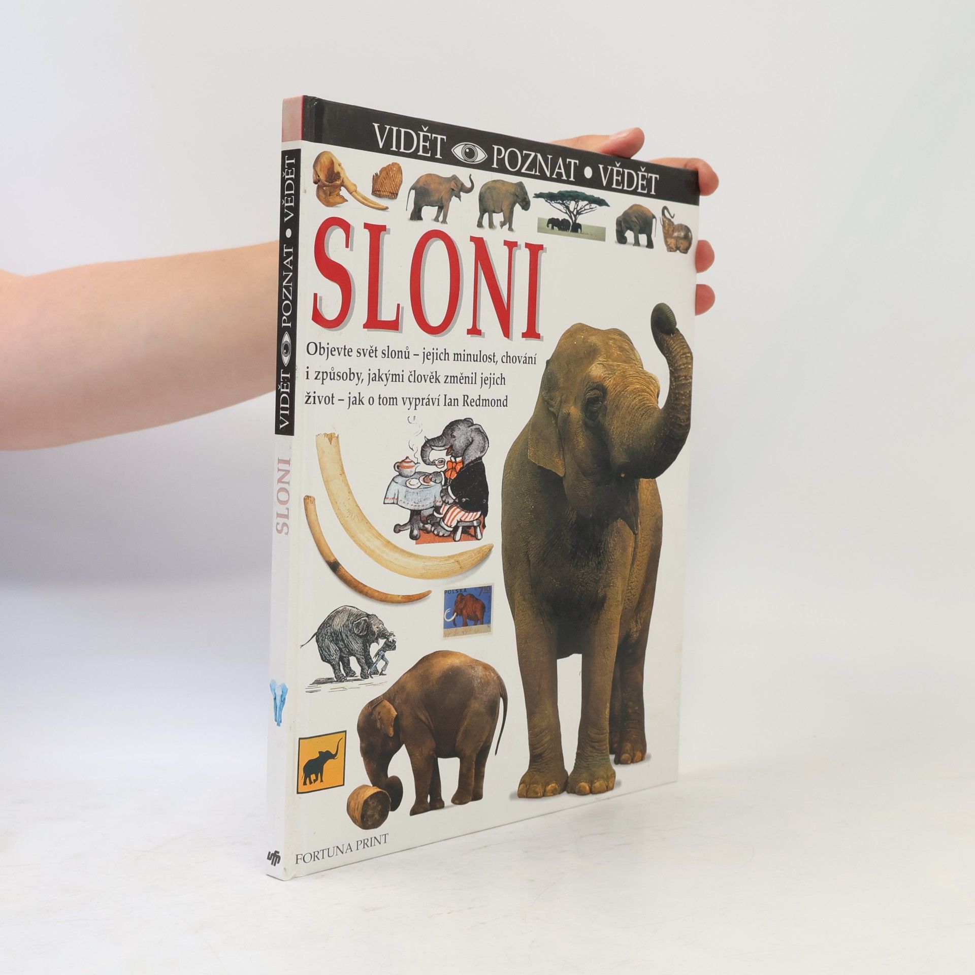 Ian Redmond Sloni