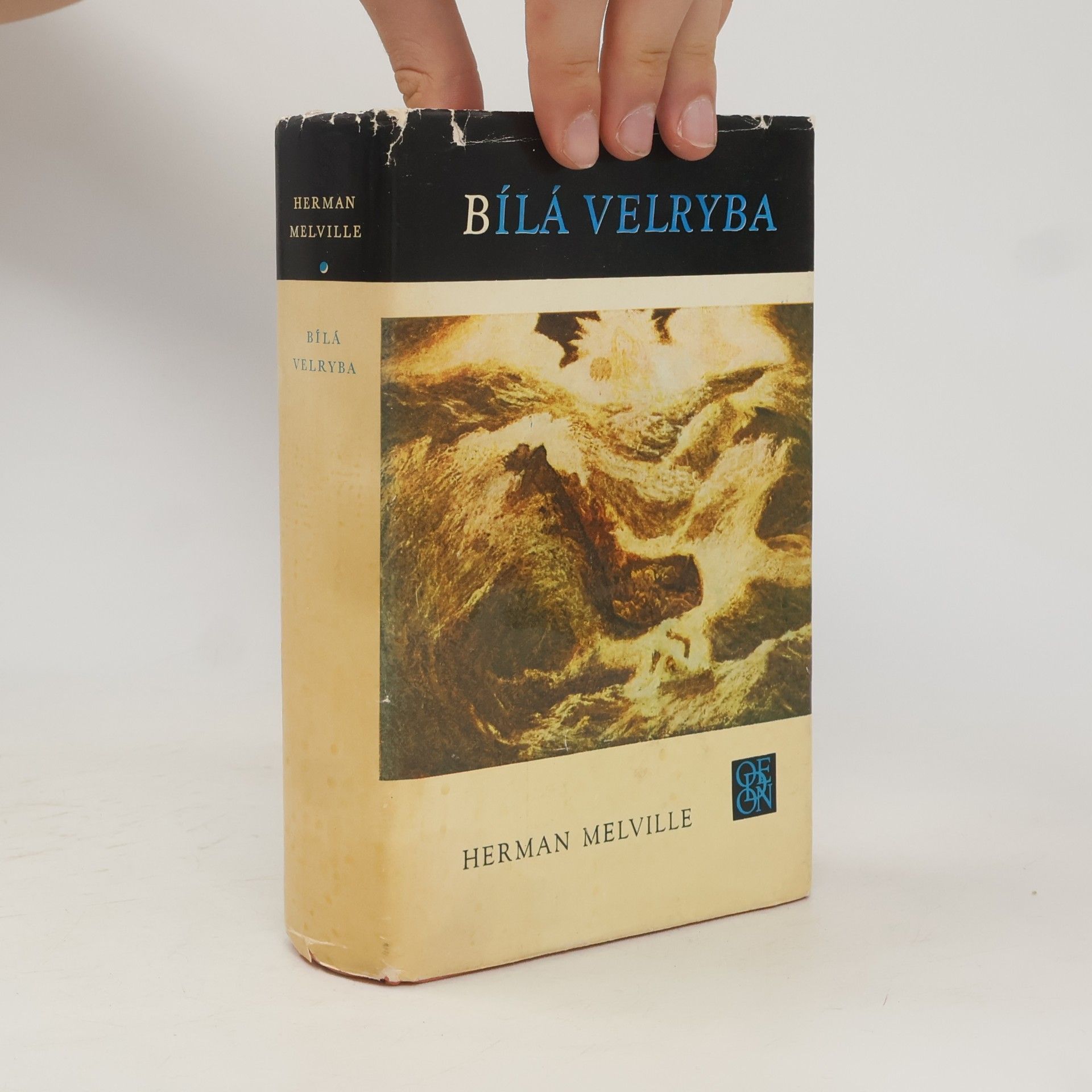 Herman Melville Bílá velryba