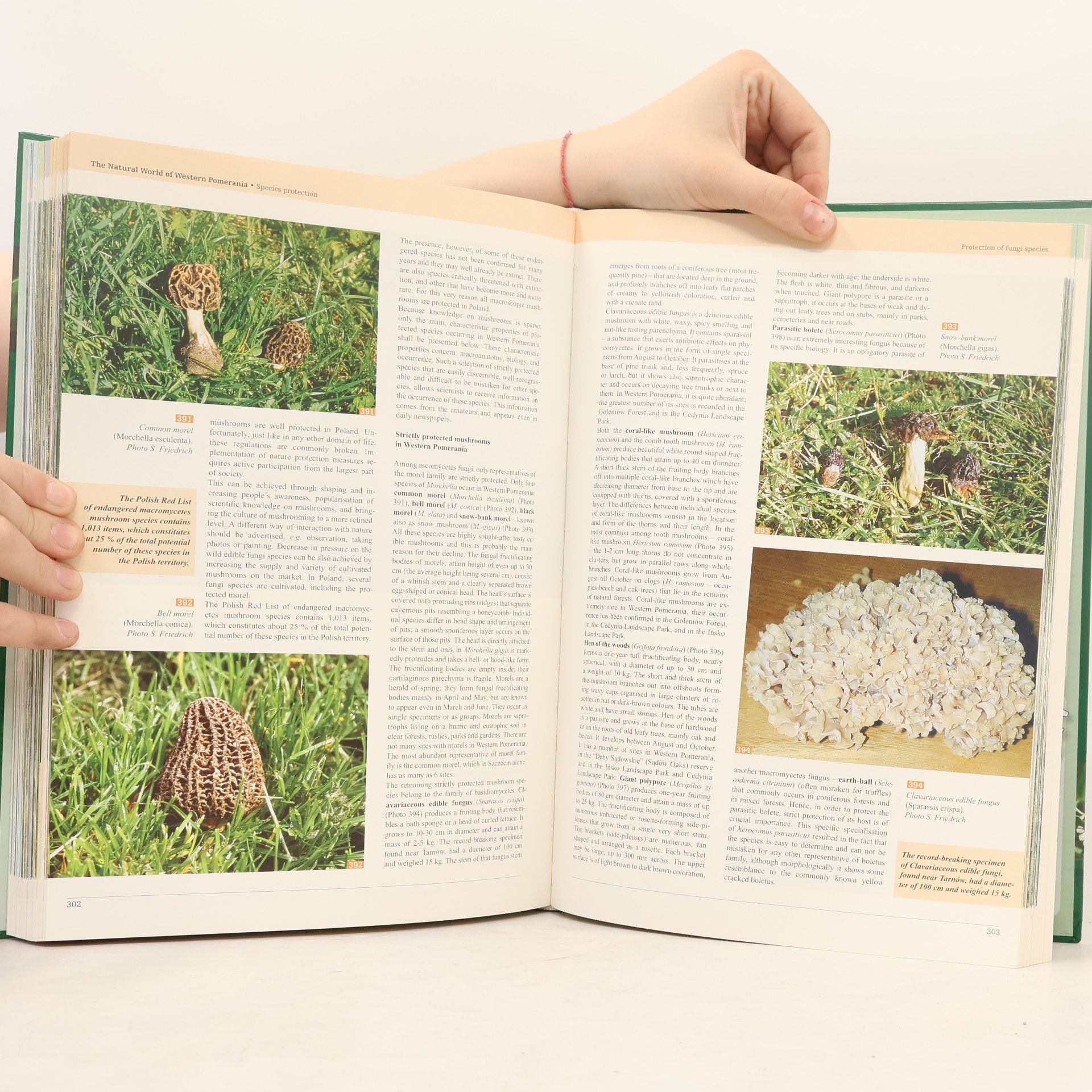 Ryszard Borowka The Natural World of Western Pomerania