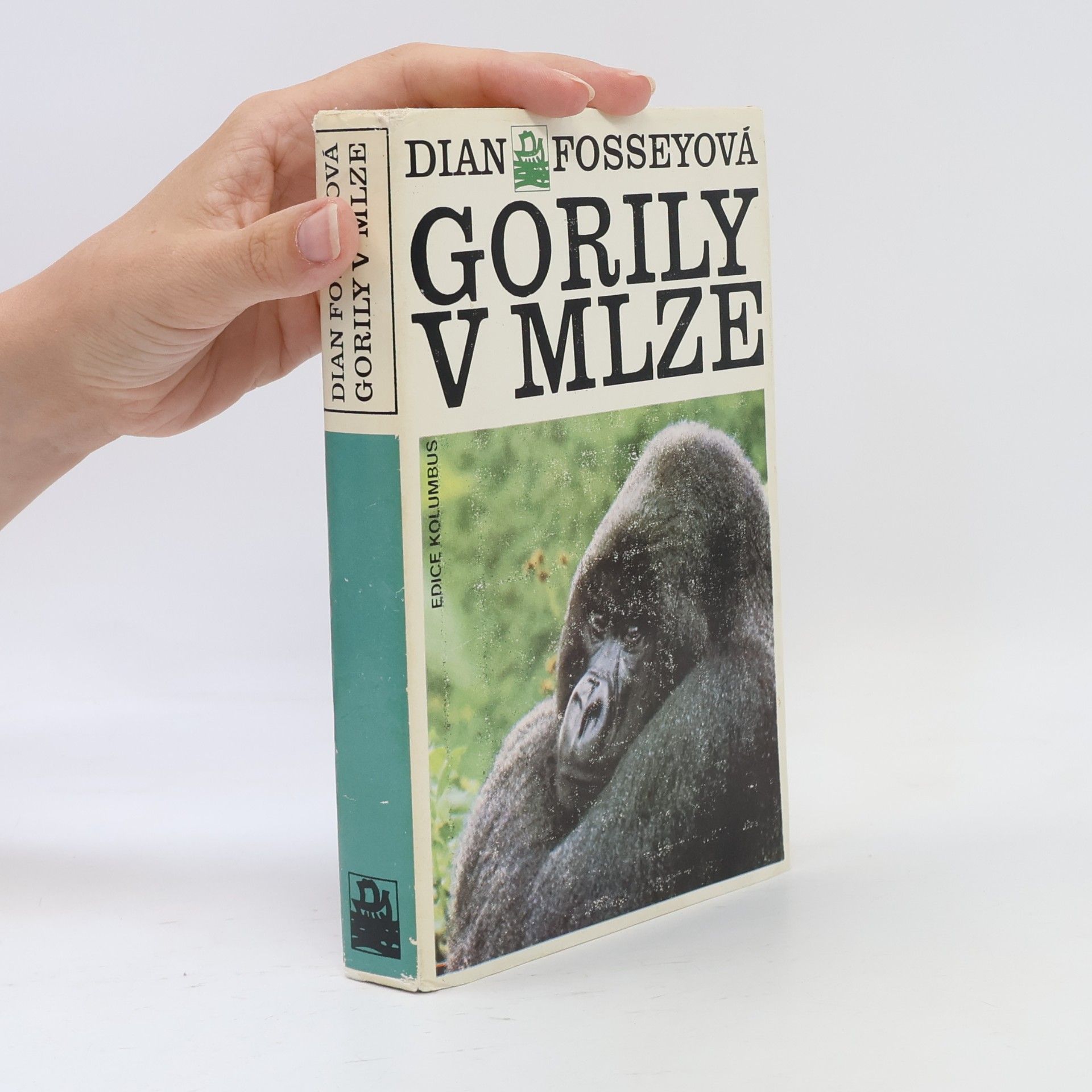 Dian Fossey Gorily v mlze