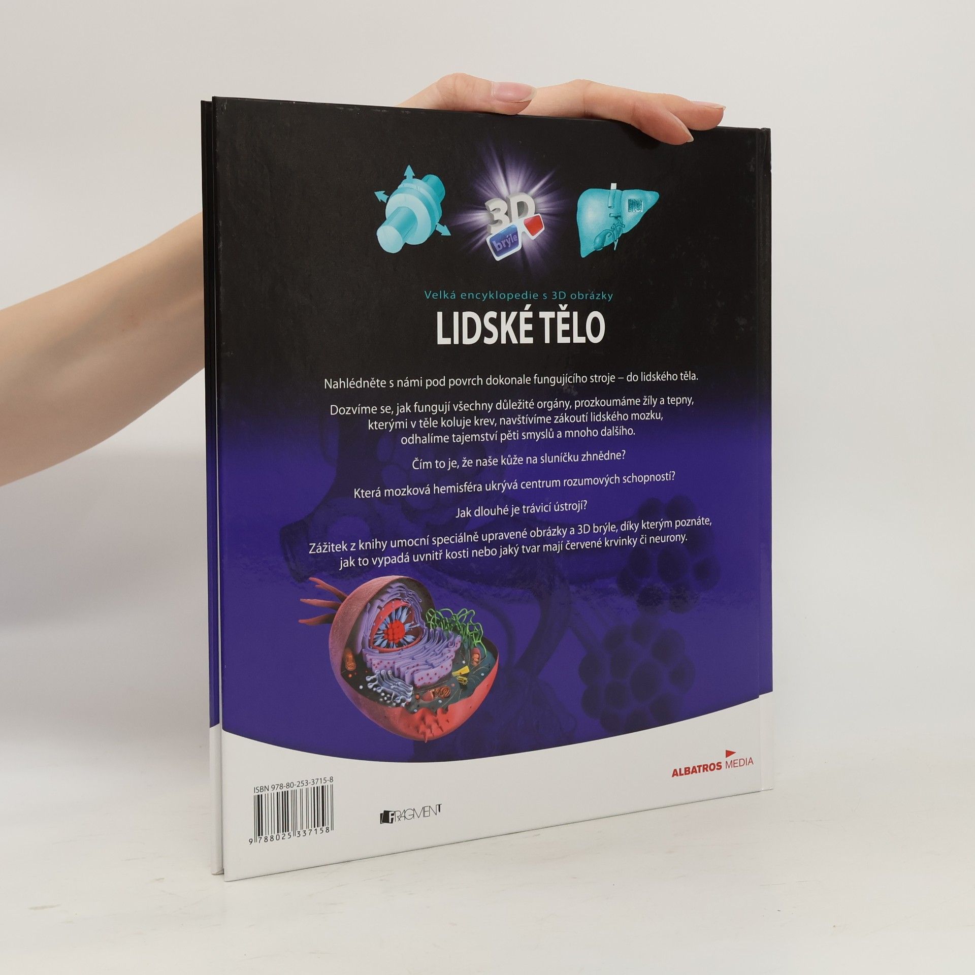 Kateřina Orlová Lidské tělo