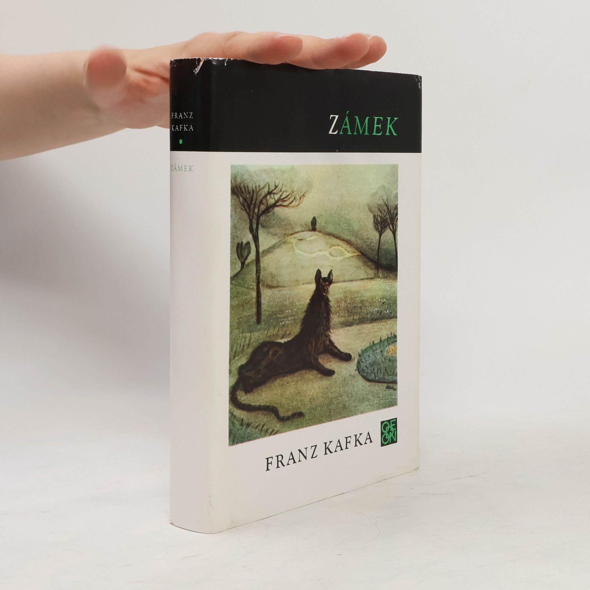 Franz Kafka Zámek