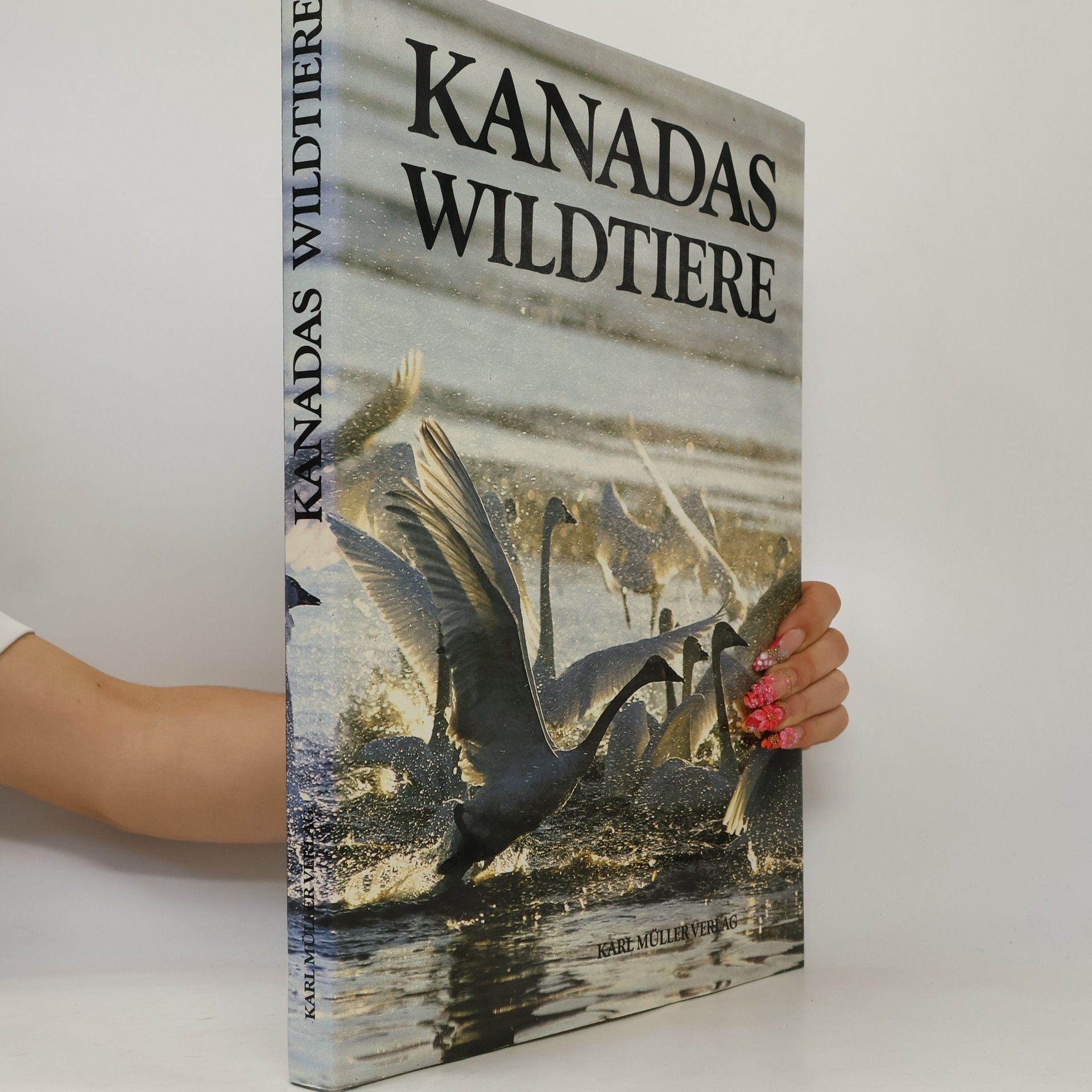 Rupert Matthews Kanadas Wildtiere