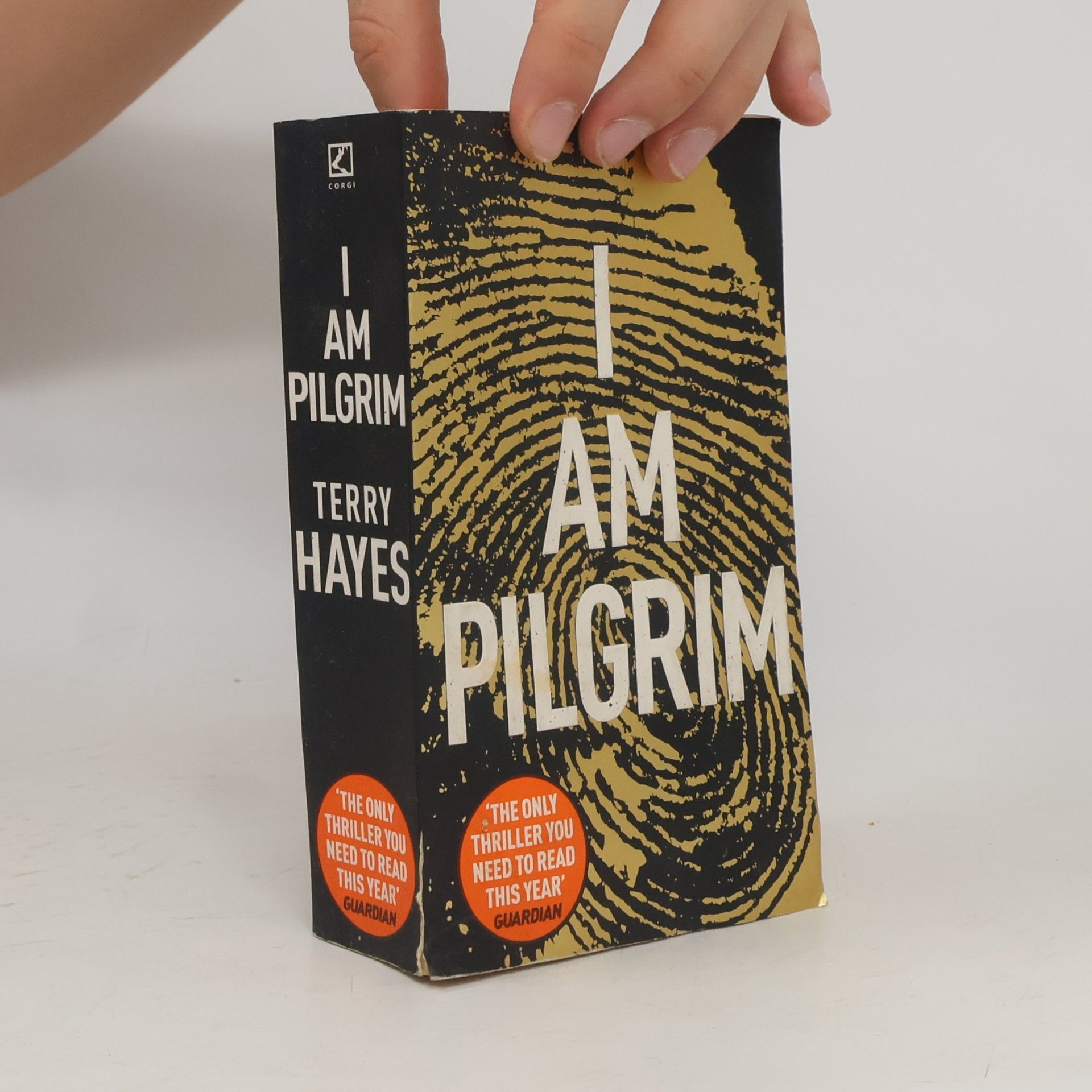Terry Hayes I Am Pilgrim