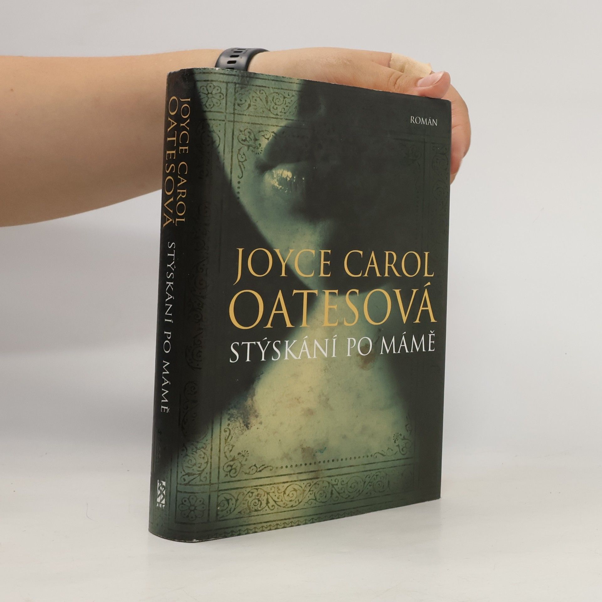 Joyce Carol Oates Stýskání po mámě