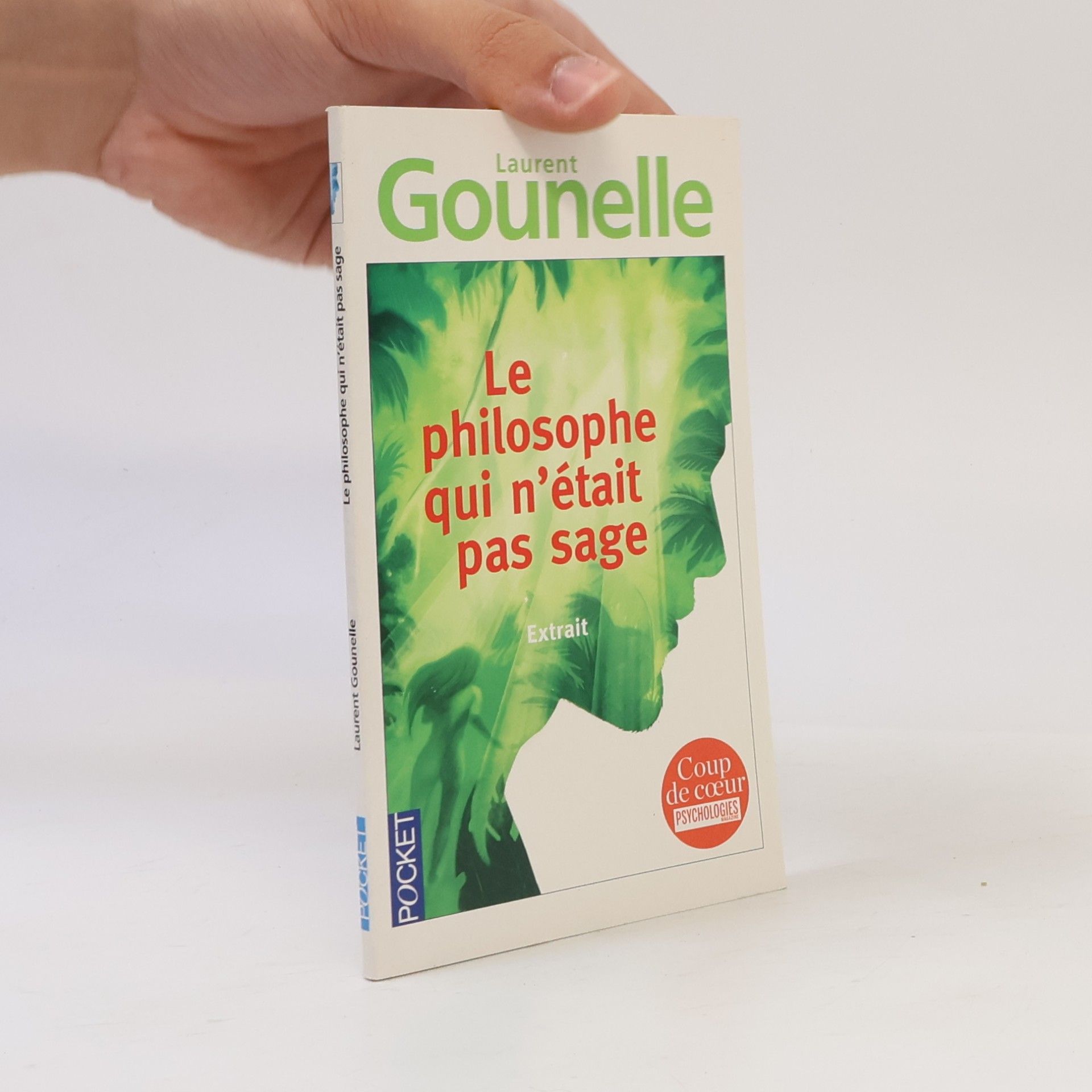 Laurent Gounelle Pocket: Le philosophe qui n'était pas sage, Extrait