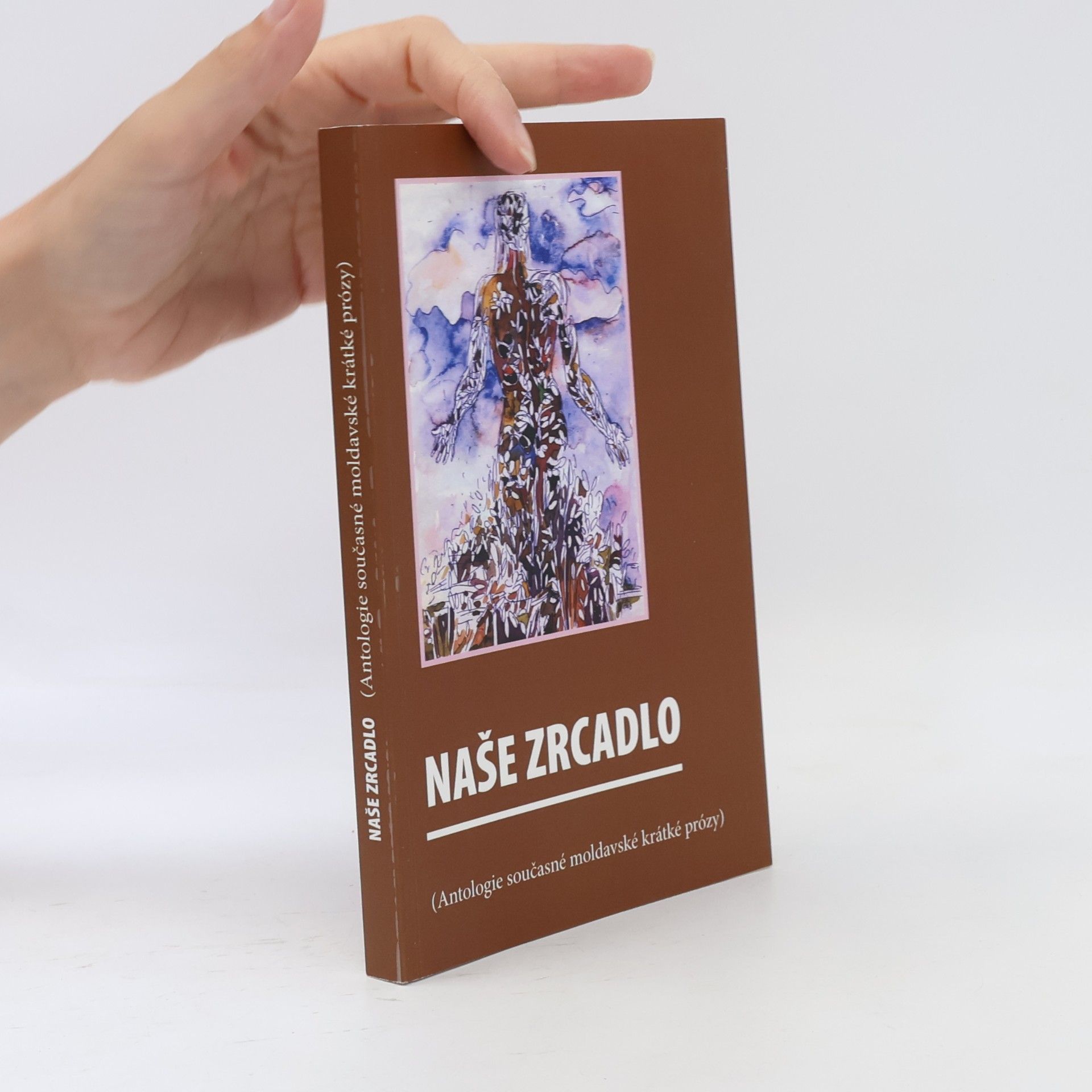 kolektiv autorů Naše zrcadlo