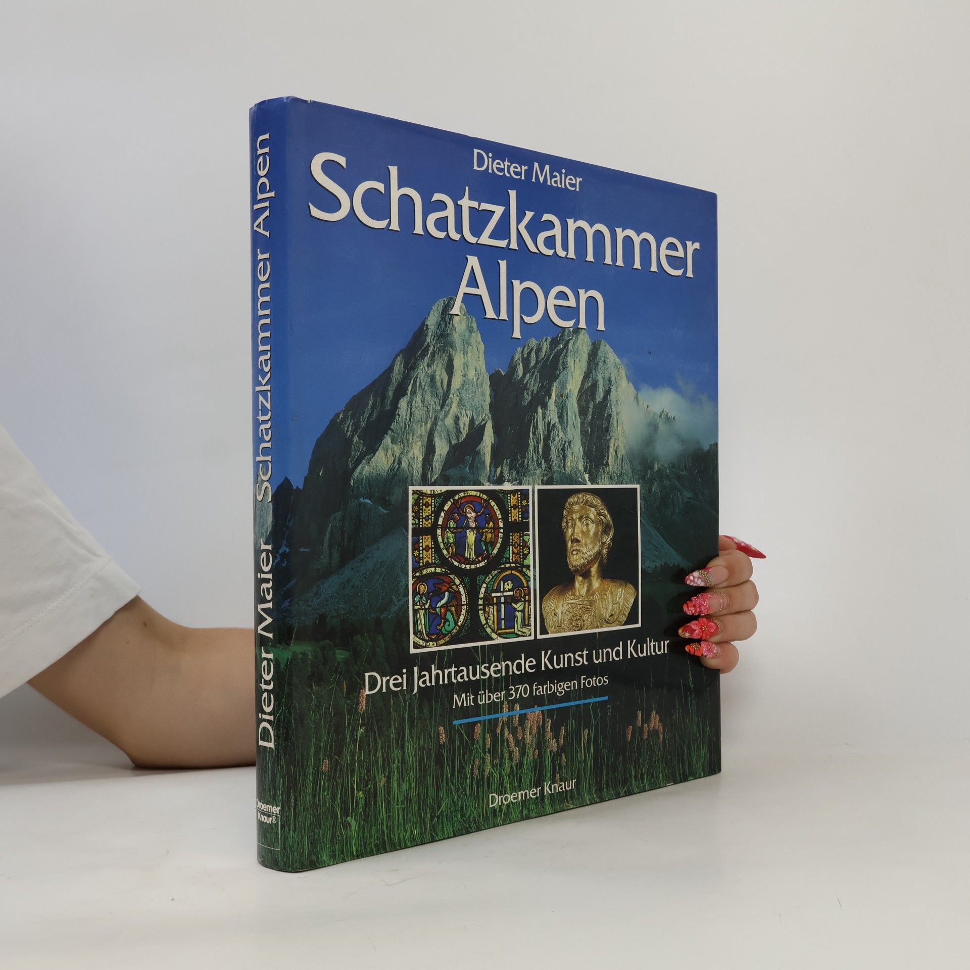 Dieter Maier Schatzkammer Alpen