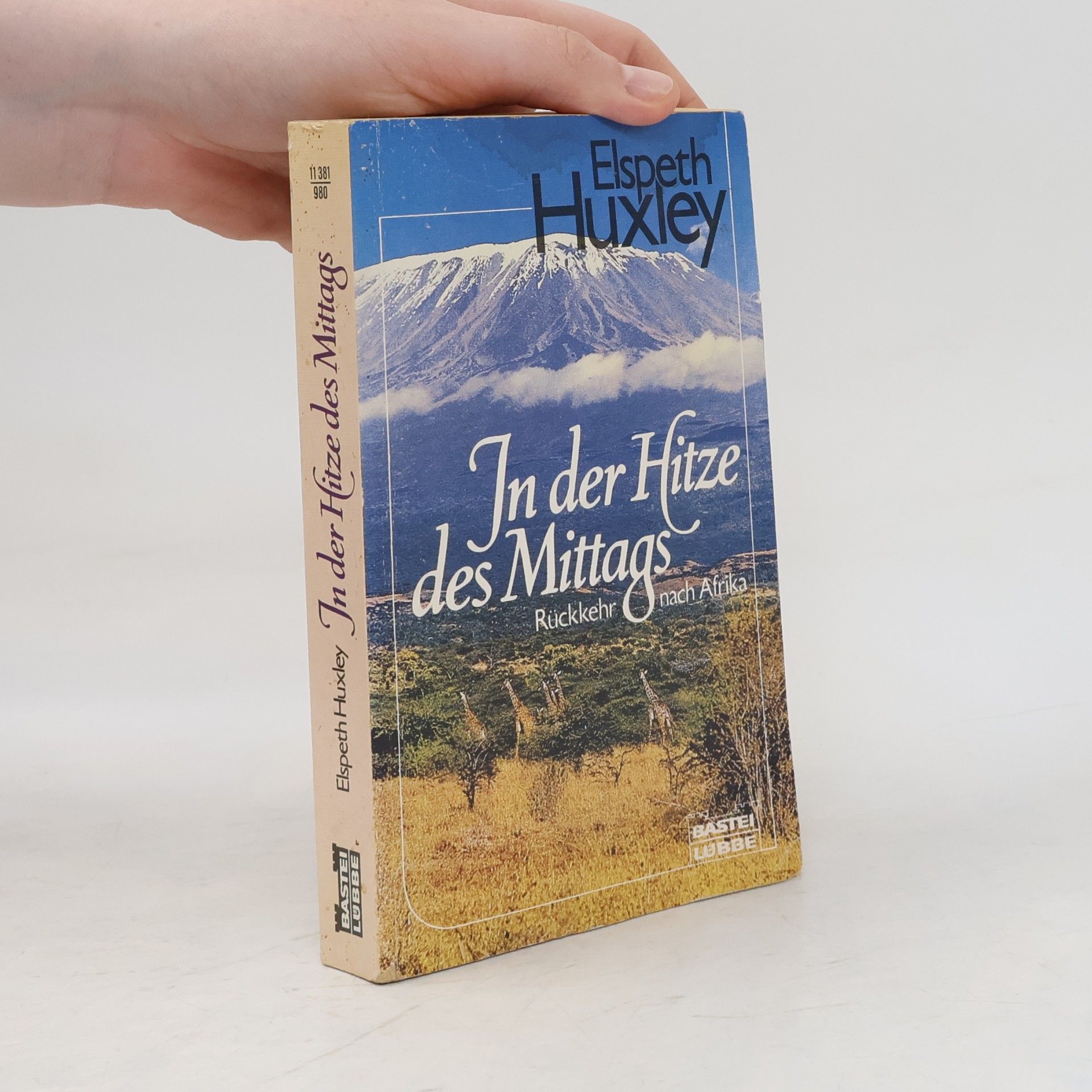 In der Hitze des Mittags. Rückkehr nach Afrika.