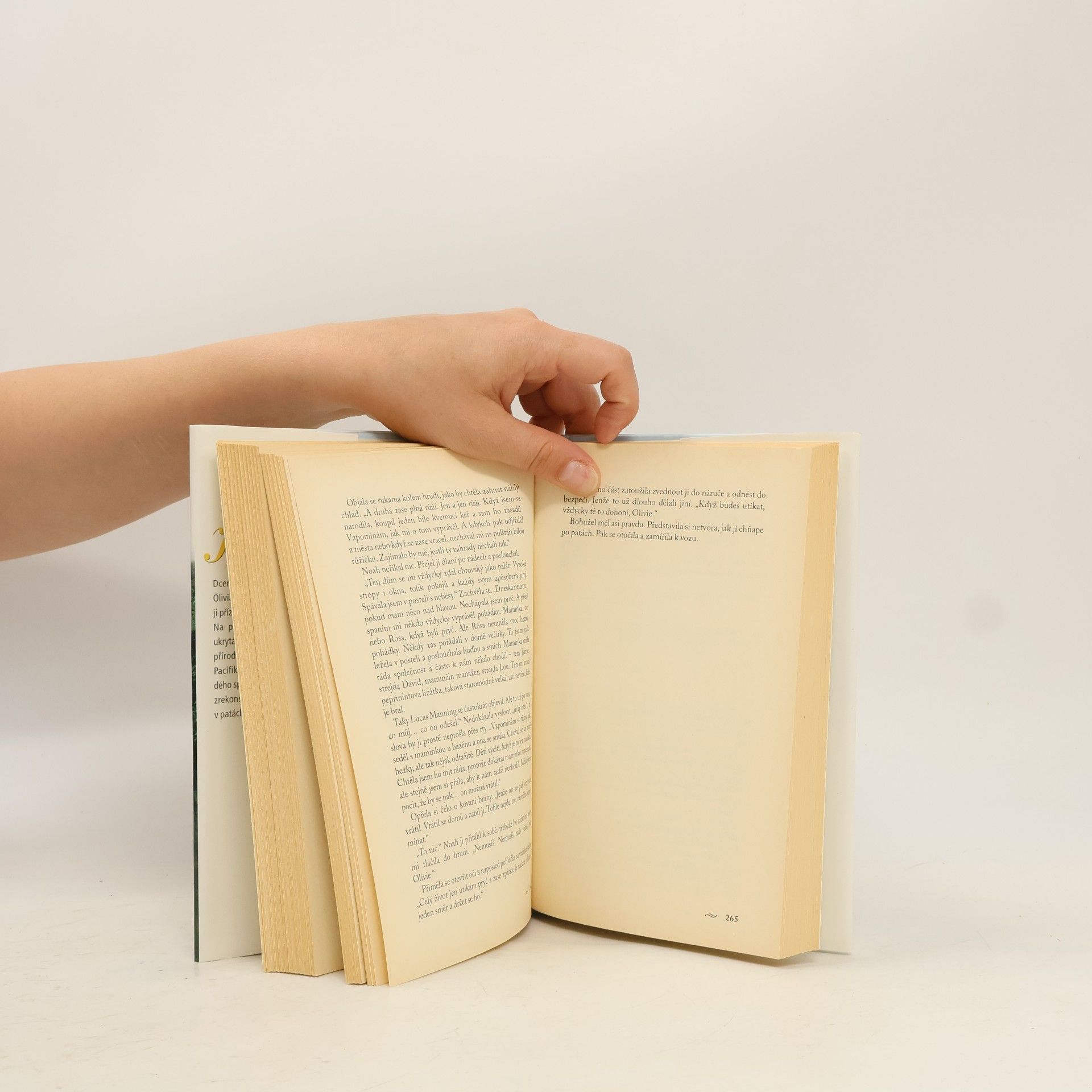 Nora Roberts Kde končí řeka