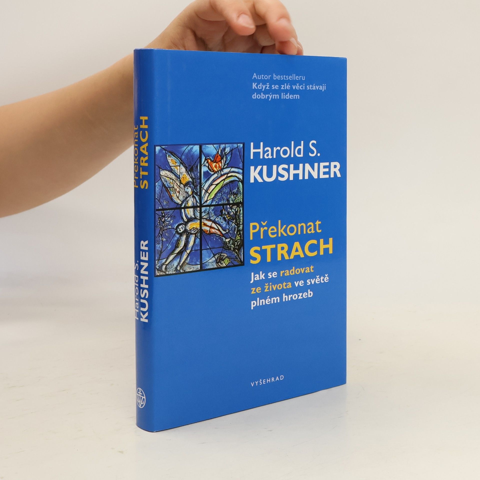 Harold Kushner Překonat strach