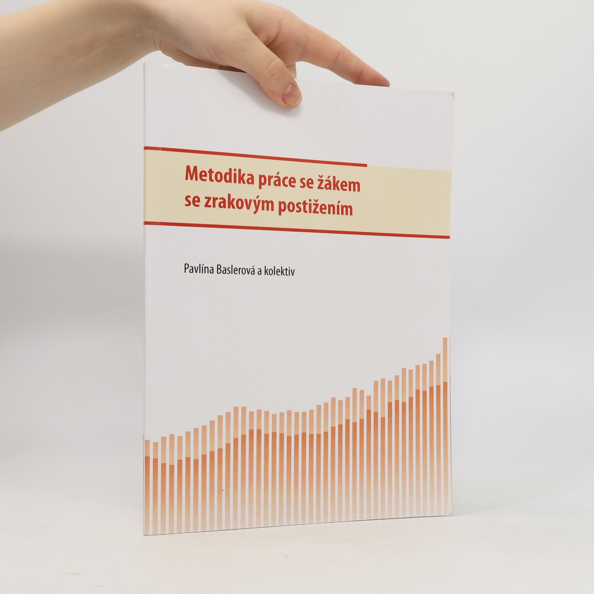 Metodika práce se žákem se zrakovým postižením