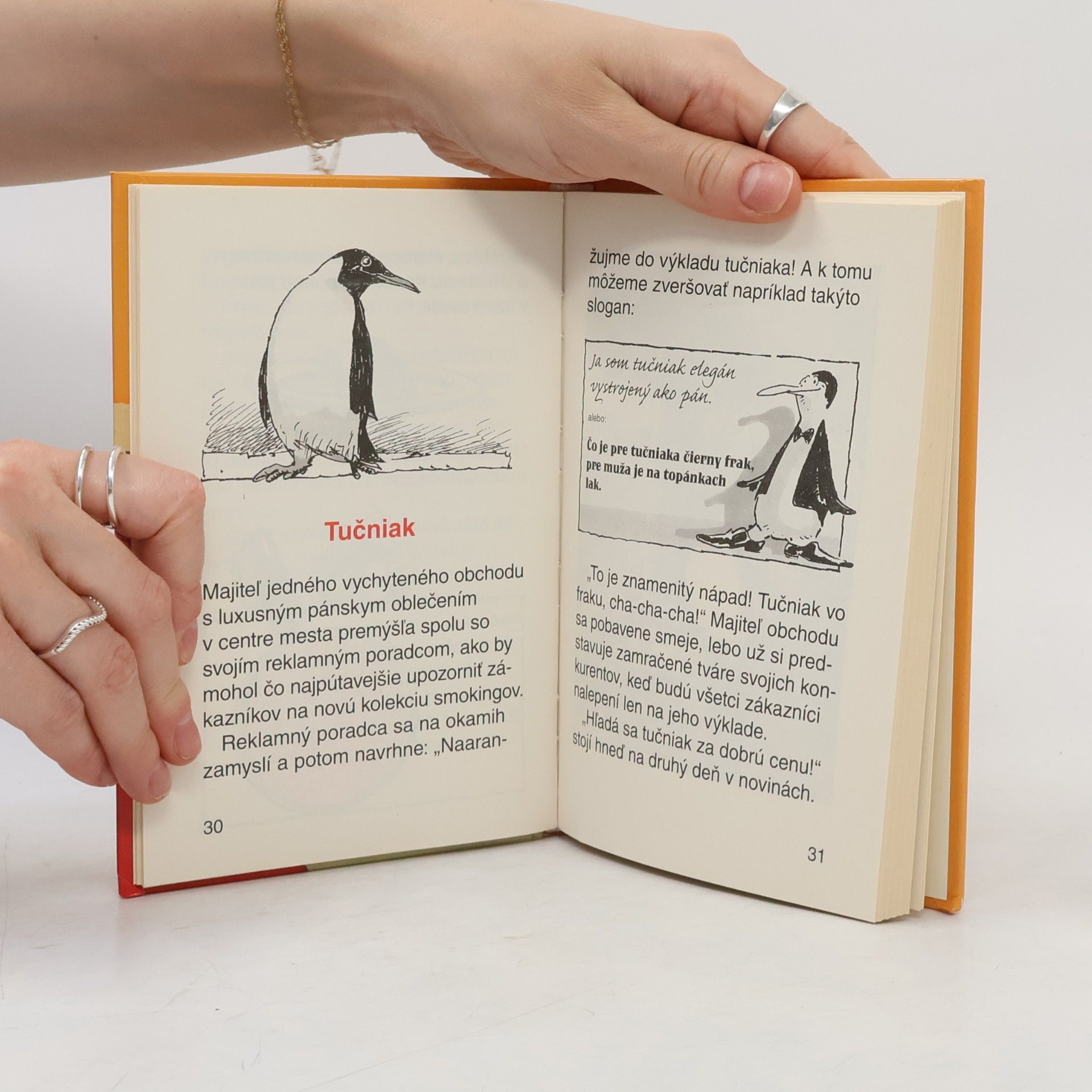 Ursel Scheffler Záhada zeleného papagája