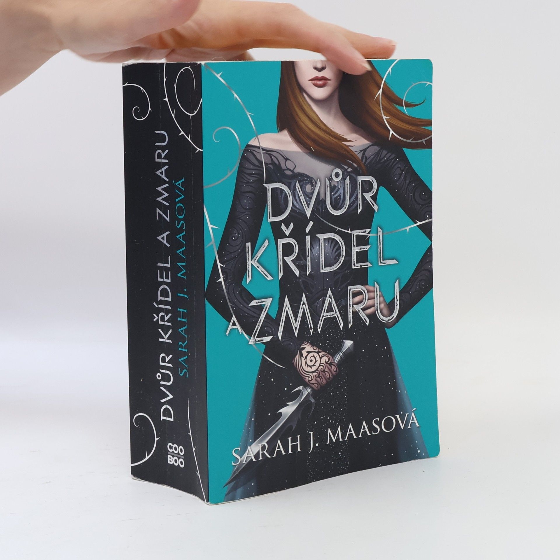 Sarah J. Maas Dvůr křídel a zmaru