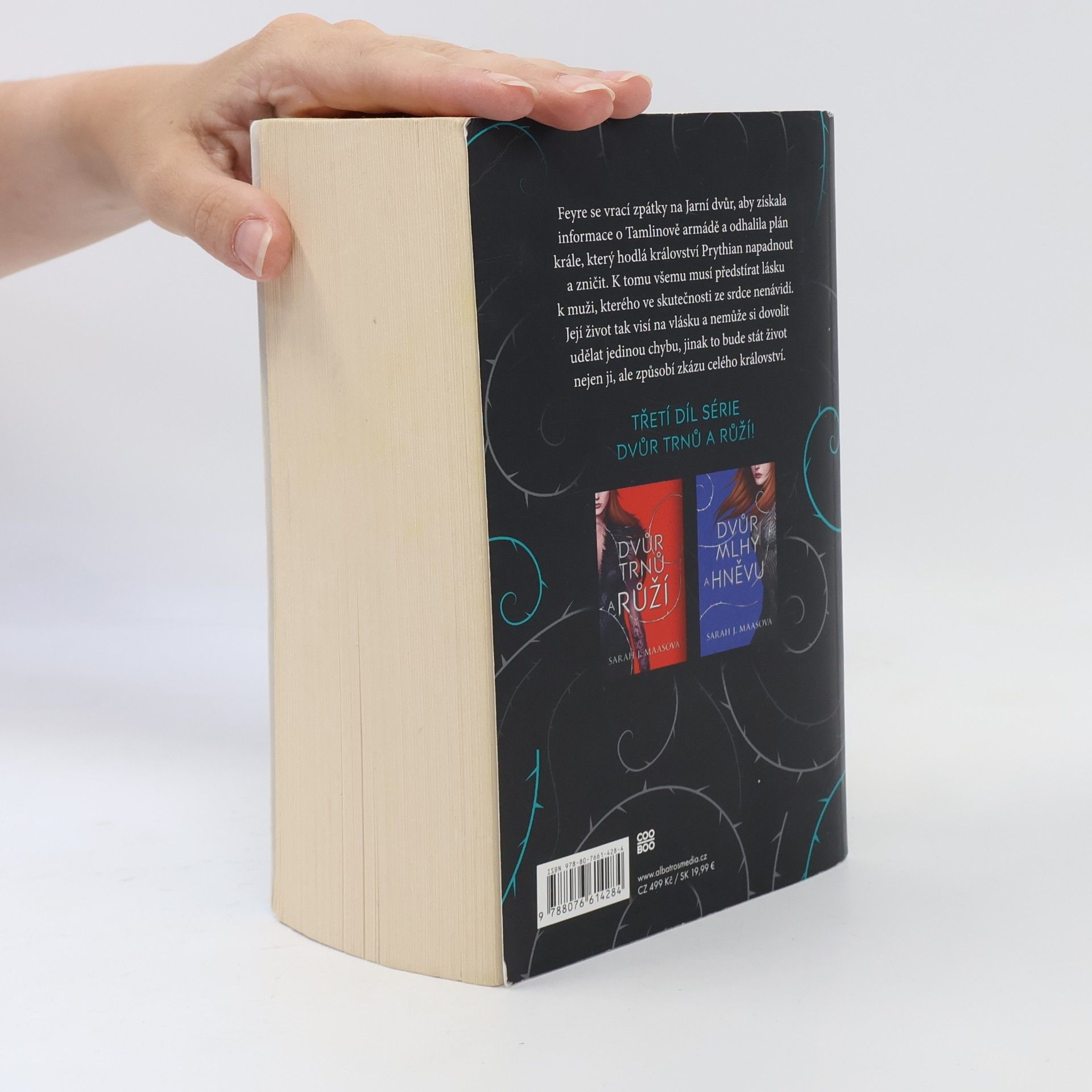 Sarah J. Maas Dvůr křídel a zmaru
