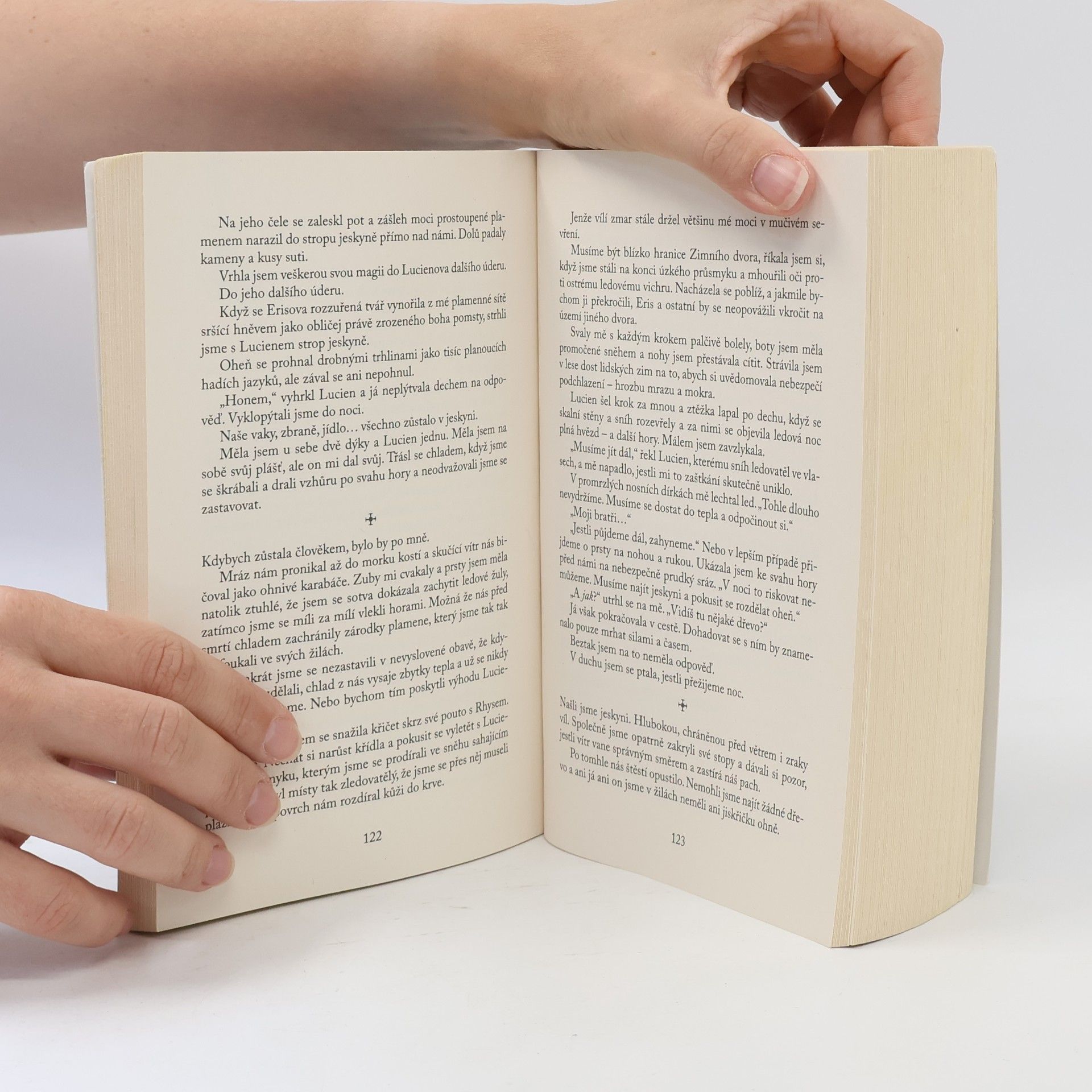 Sarah J. Maas Dvůr křídel a zmaru