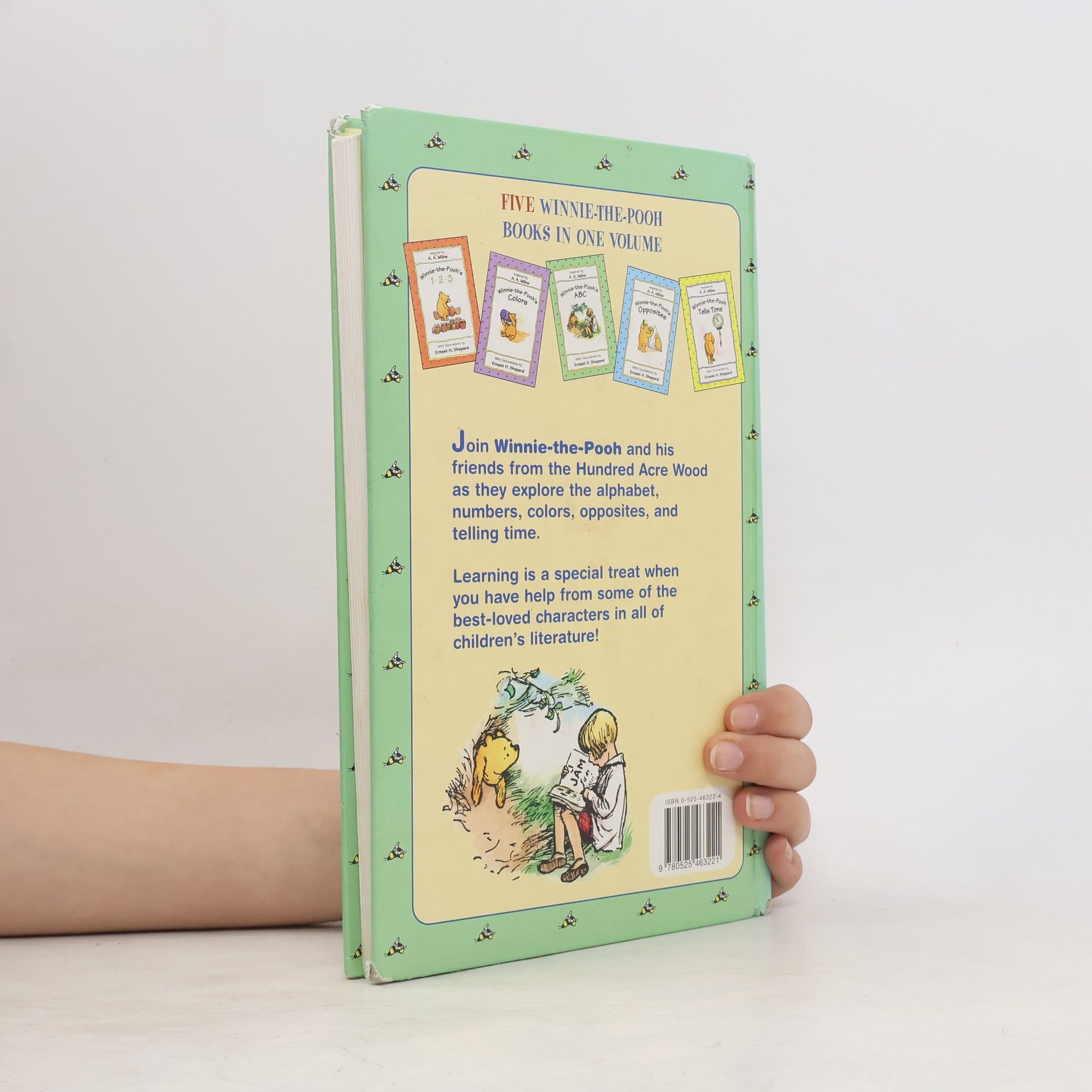 Alan Alexander Milne Winnie the Pooh's Learning Fun