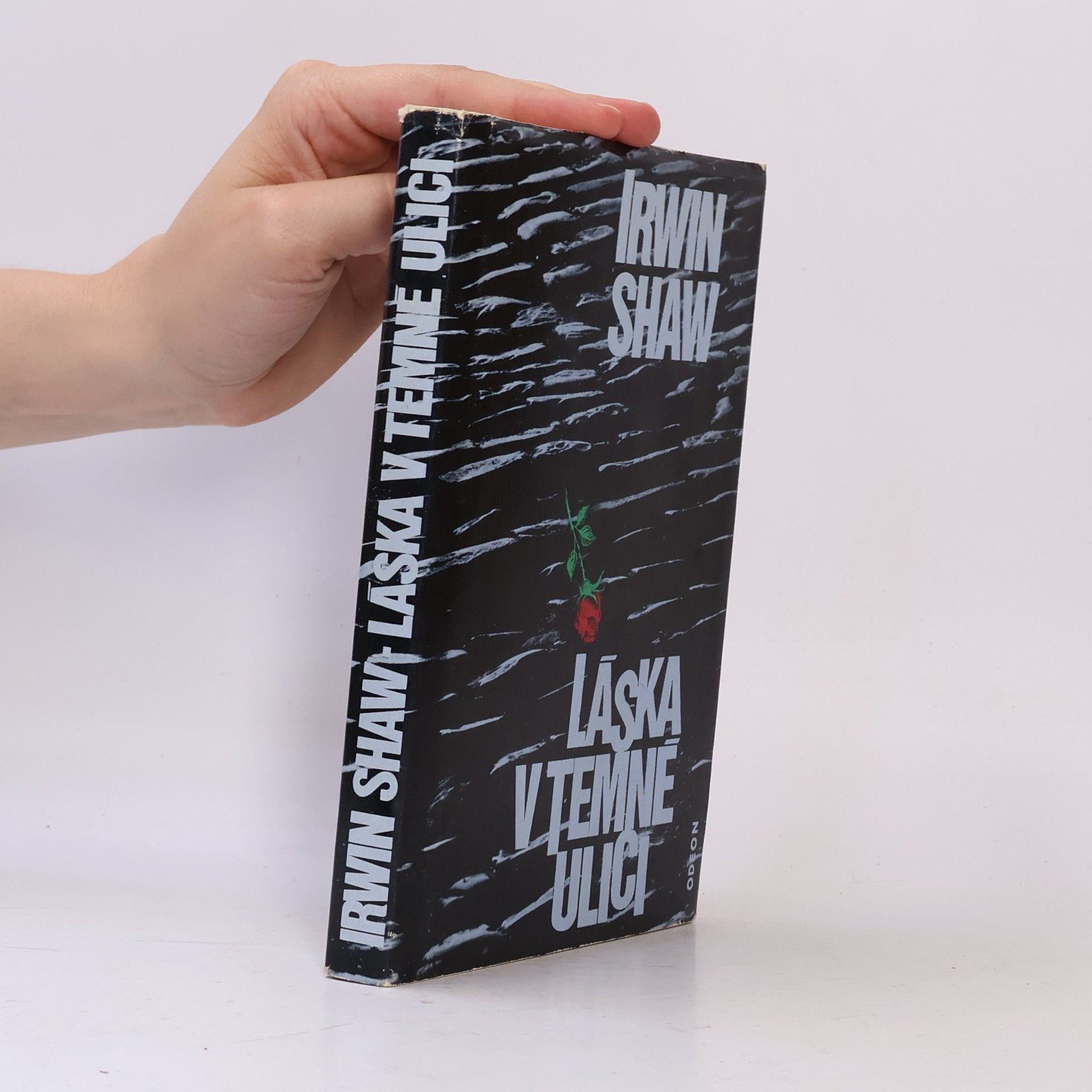 Irwin Shaw Láska v temné ulici