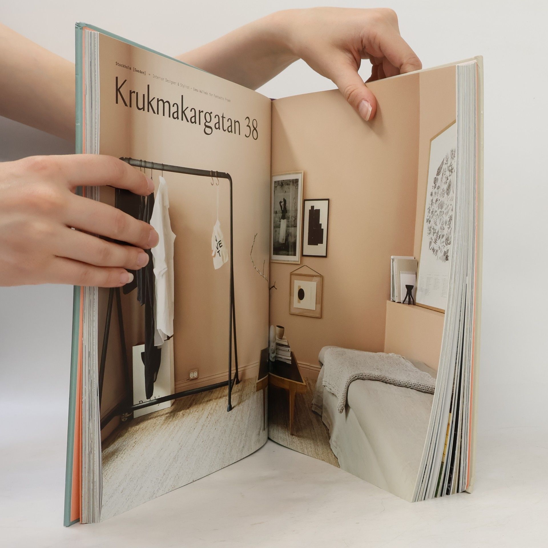 Sven Ehmann Scandinavia dreaming : Nordic homes, interiors and design