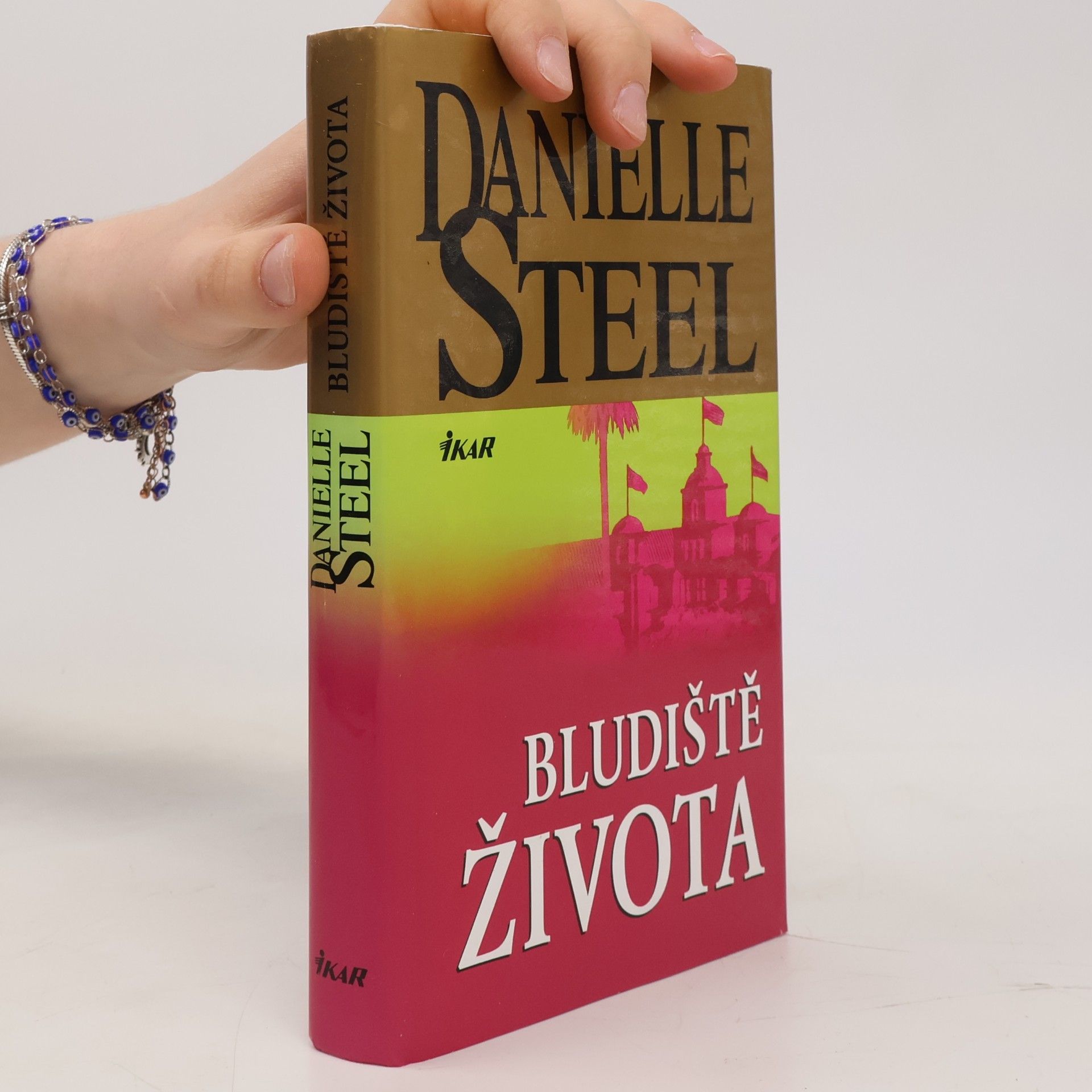 Danielle Steel Bludiště života
