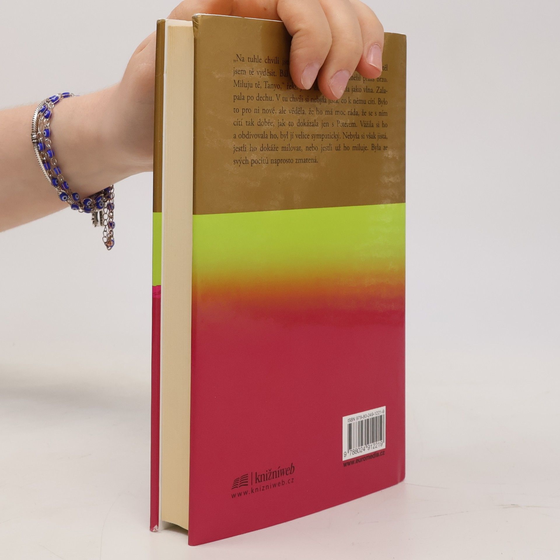 Danielle Steel Bludiště života