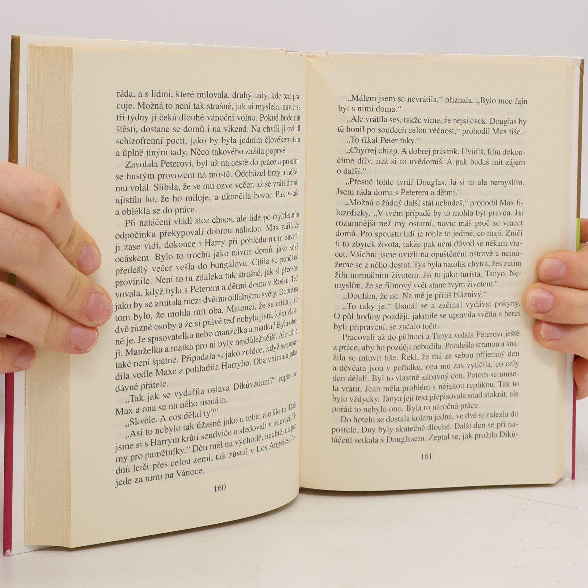 Danielle Steel Bludiště života