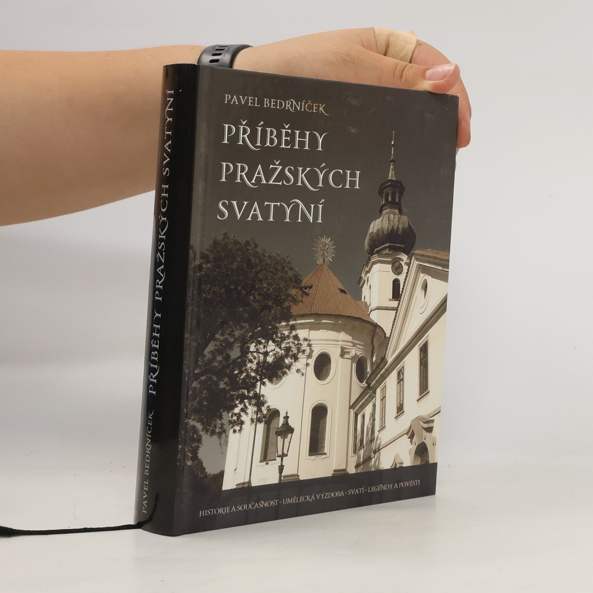 Pavel Bedrníček Příběhy pražských svatyní