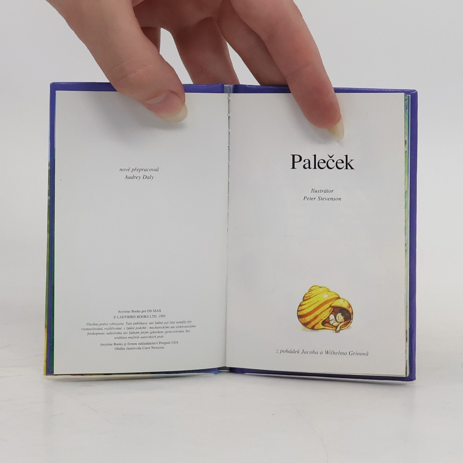 Kolektiv autorů Paleček