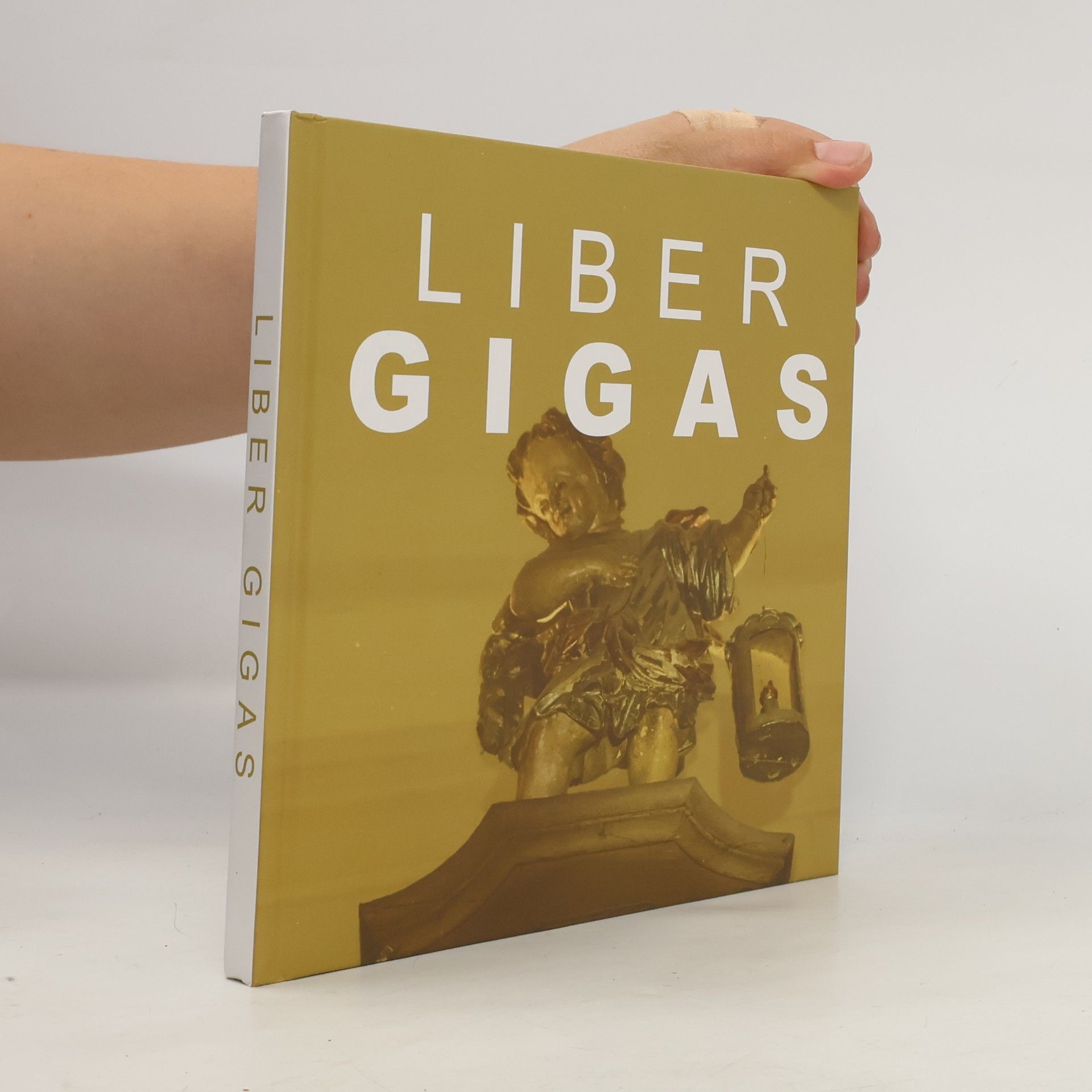 Martin Lanži Liber Gigas