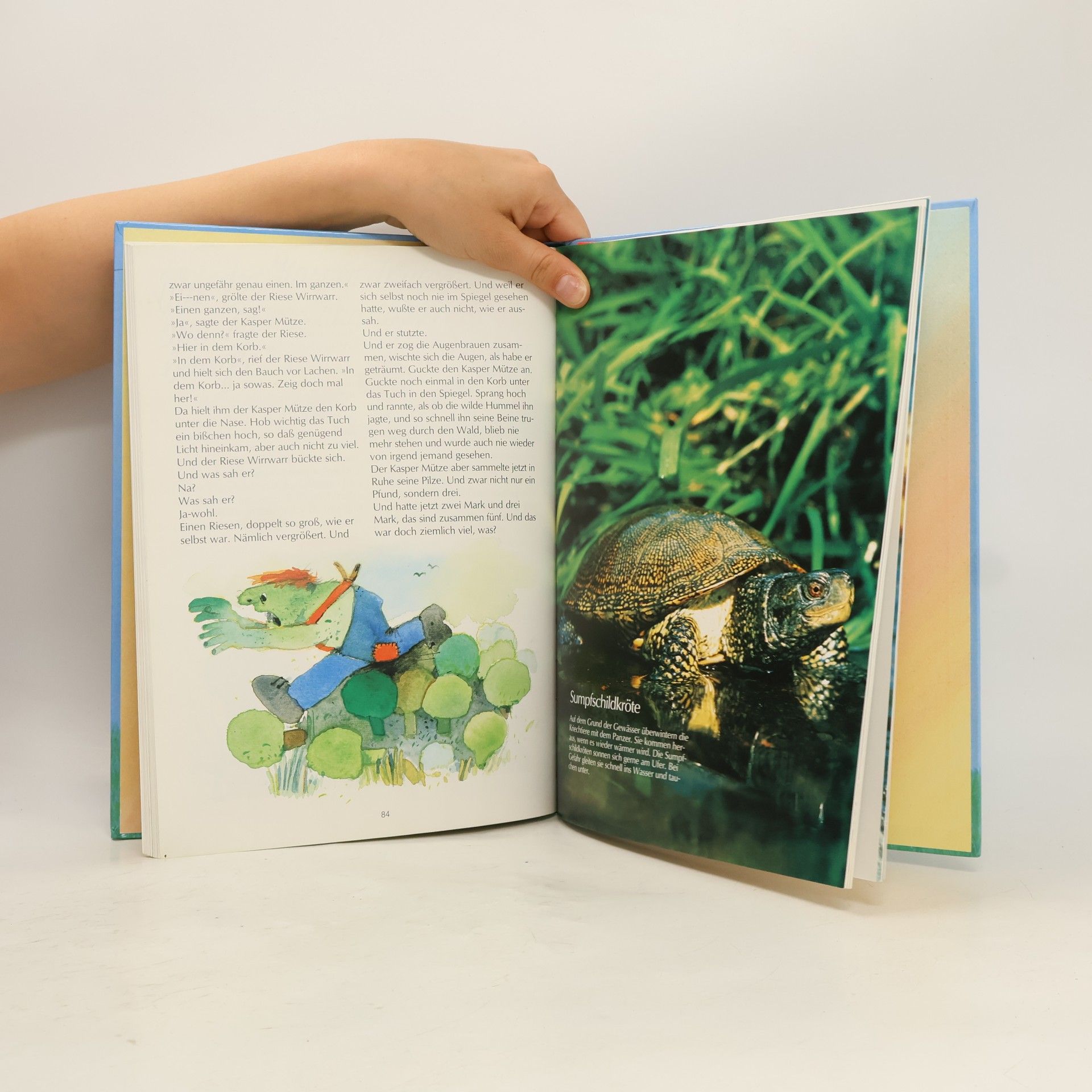 Kolektiv autorů Jahrbuch für Kinder