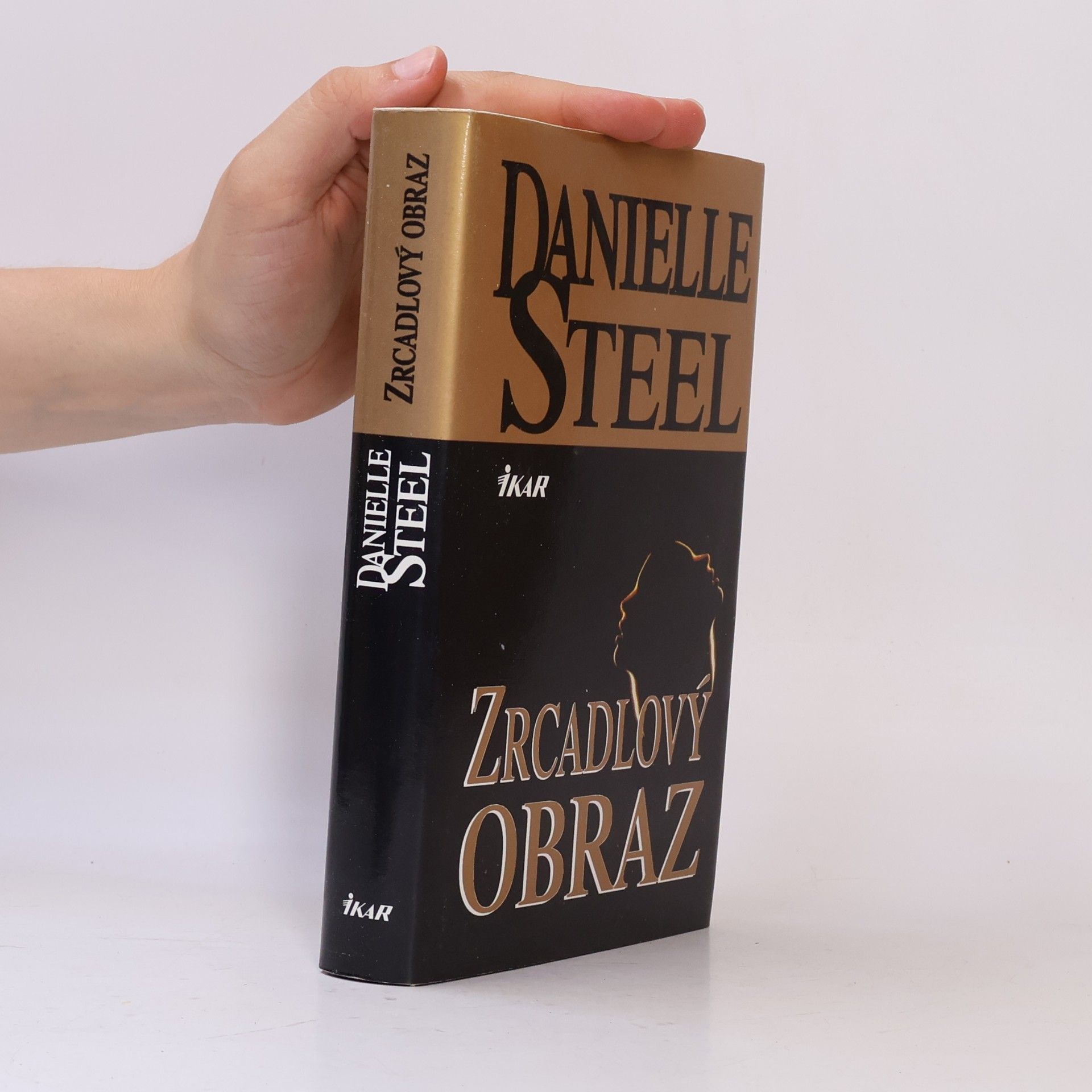 Danielle Steel Zrcadlový obraz