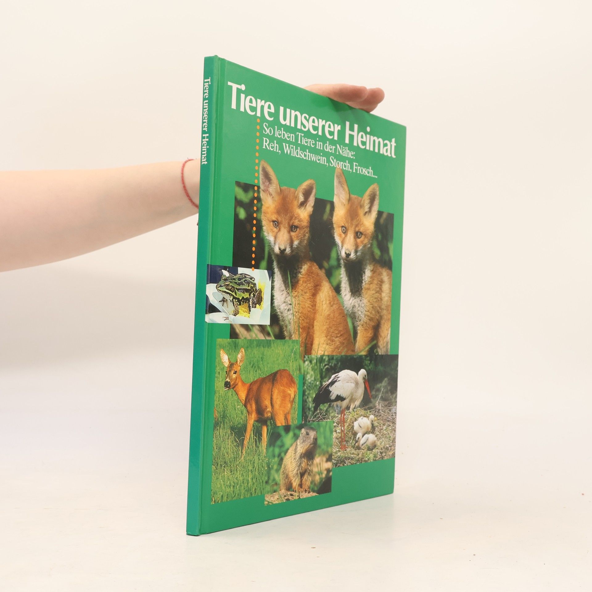 Autorenkollektiv Tiere unserer Heimat