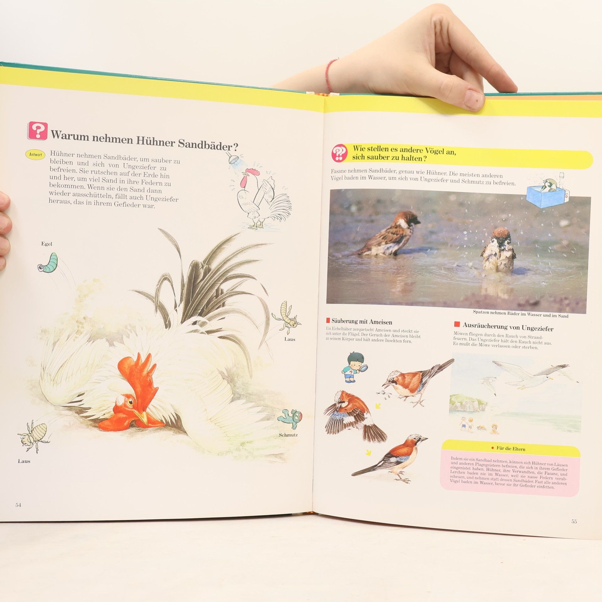 Autorenkollektiv Die Welte der Tiere