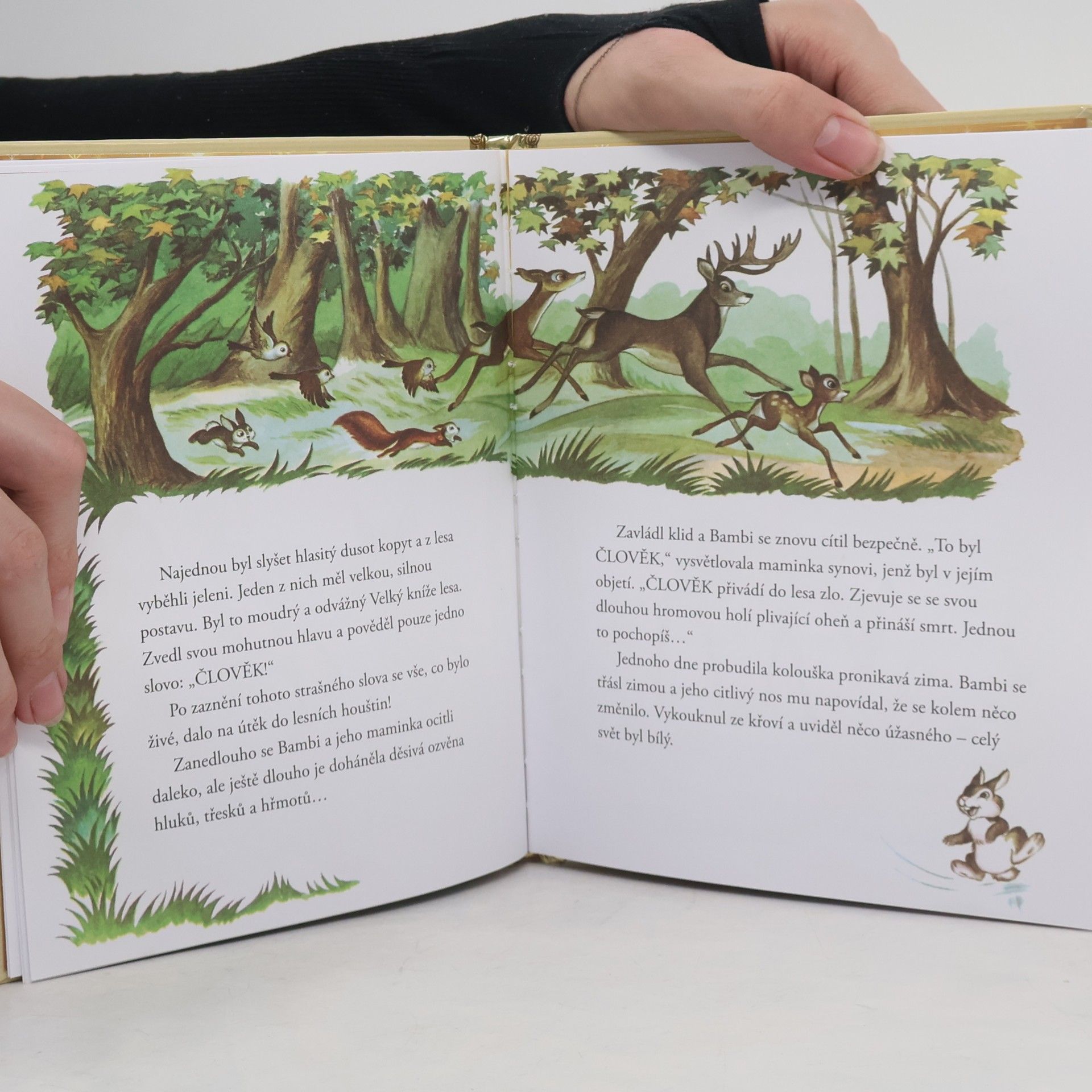 Walt Disney Zlatá sbírka pohádek 4. Bambi