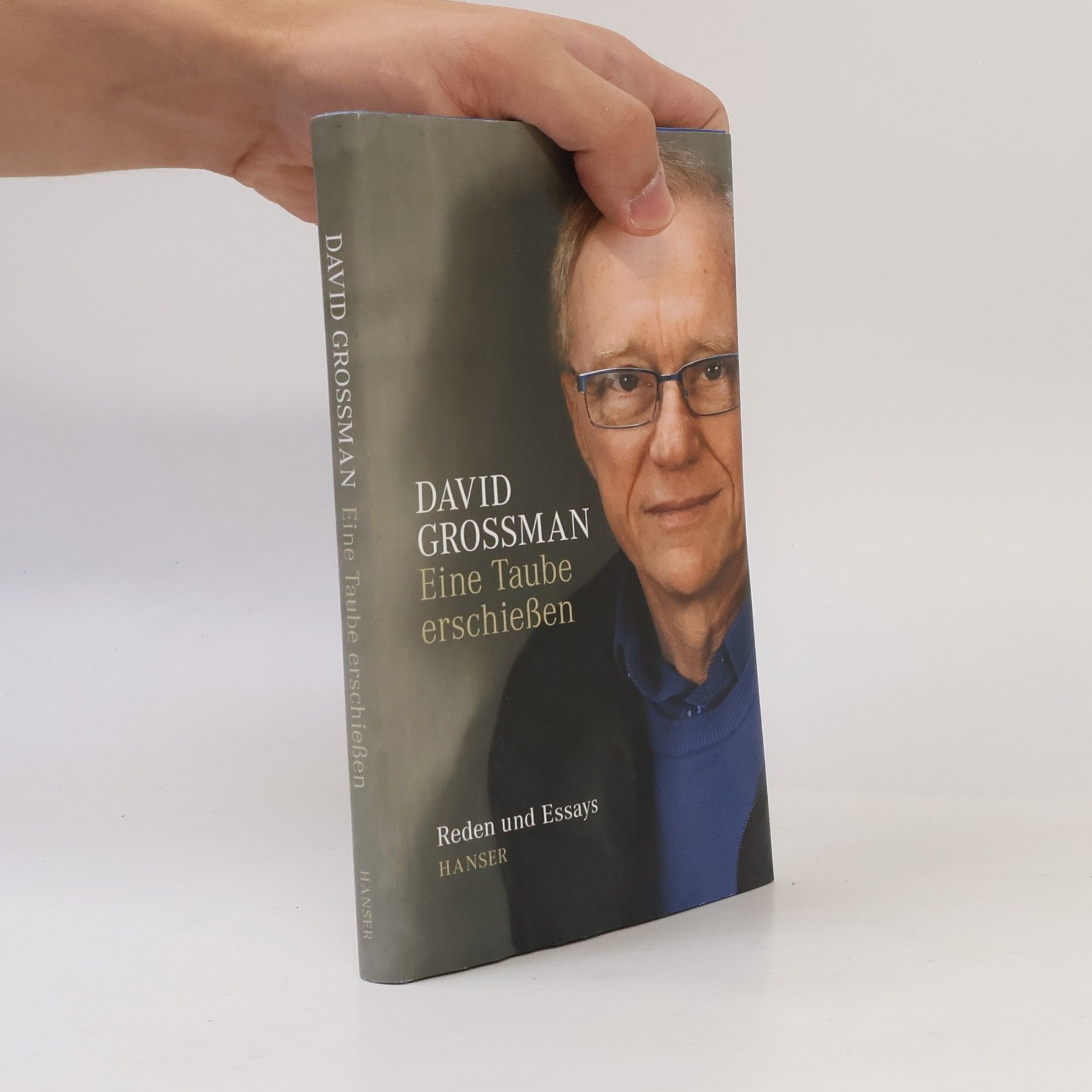 David Grossman Eine Taube erschießen