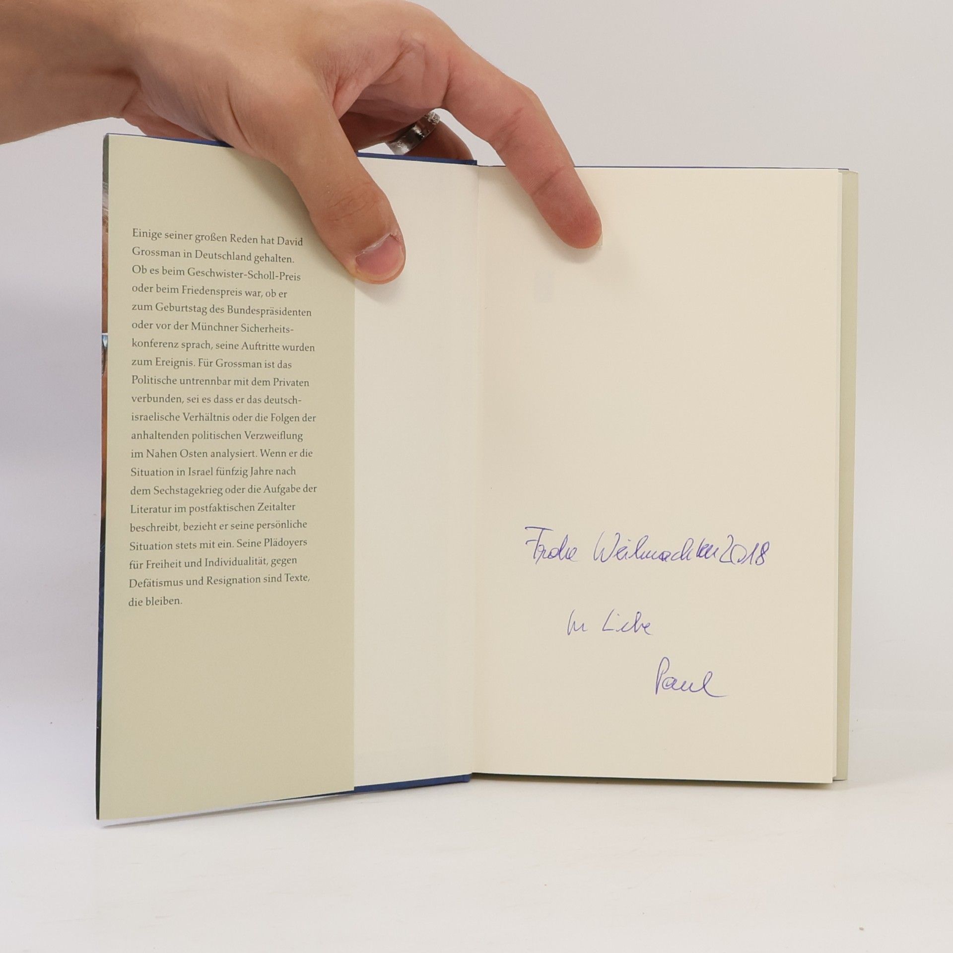 David Grossman Eine Taube erschießen
