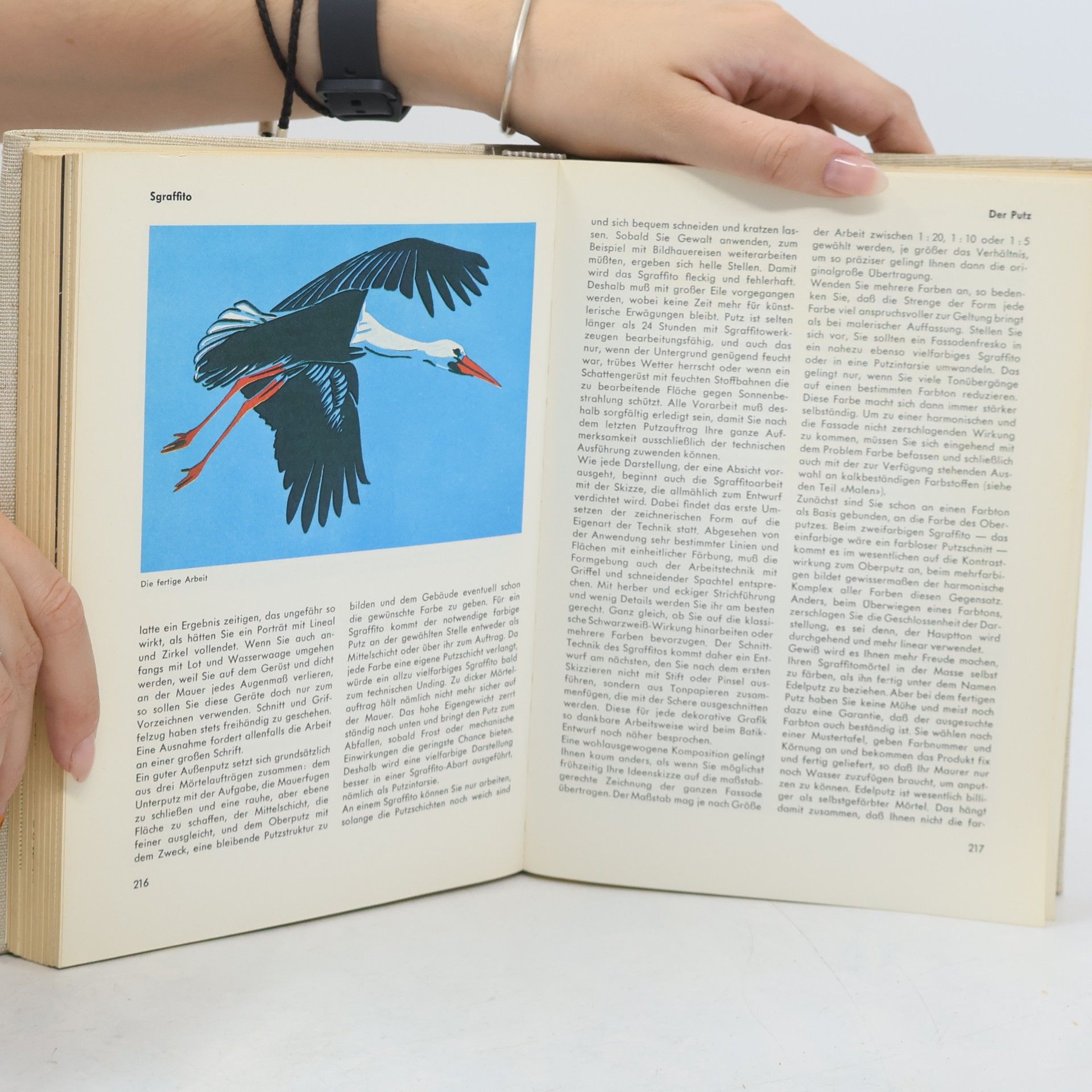 Knaurs Tierleben Mal - und Zeichen Buch