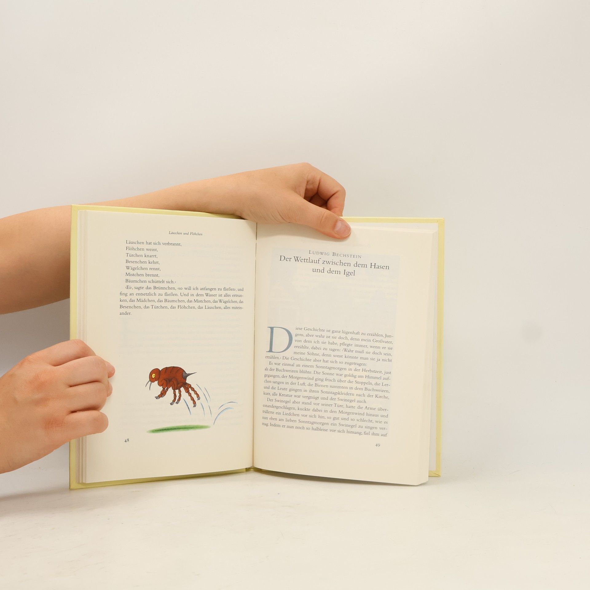 Kolektiv autorů Der Hase und der Igel und andere Märchen von Vierbeinern und allerlei Federvieh