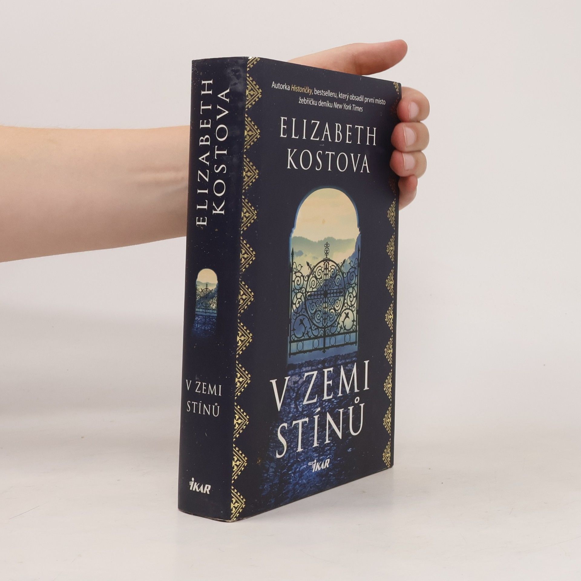 Elizabeth Kostova V zemi stínů