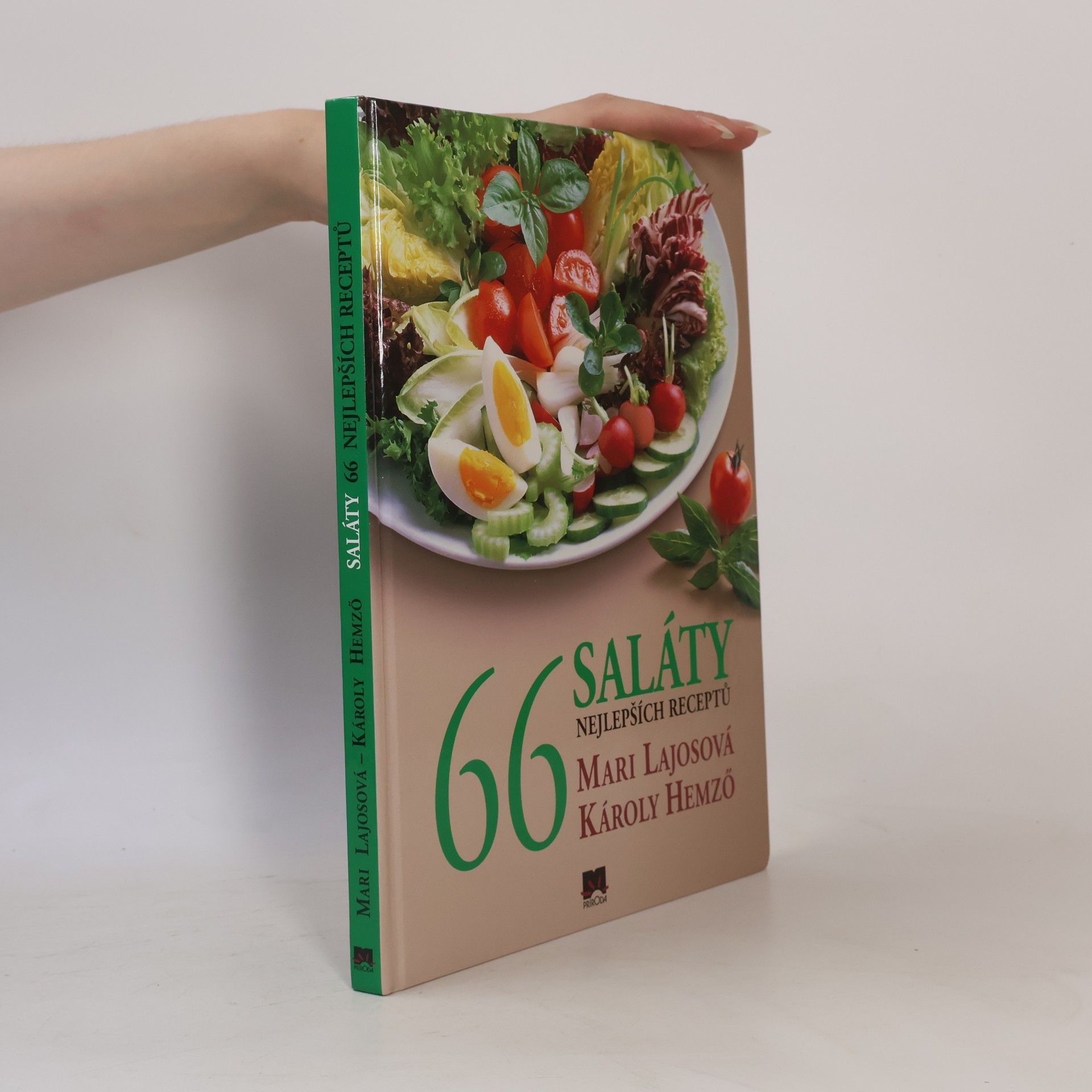 Mari Lajos Saláty - 66 nejlepších receptů