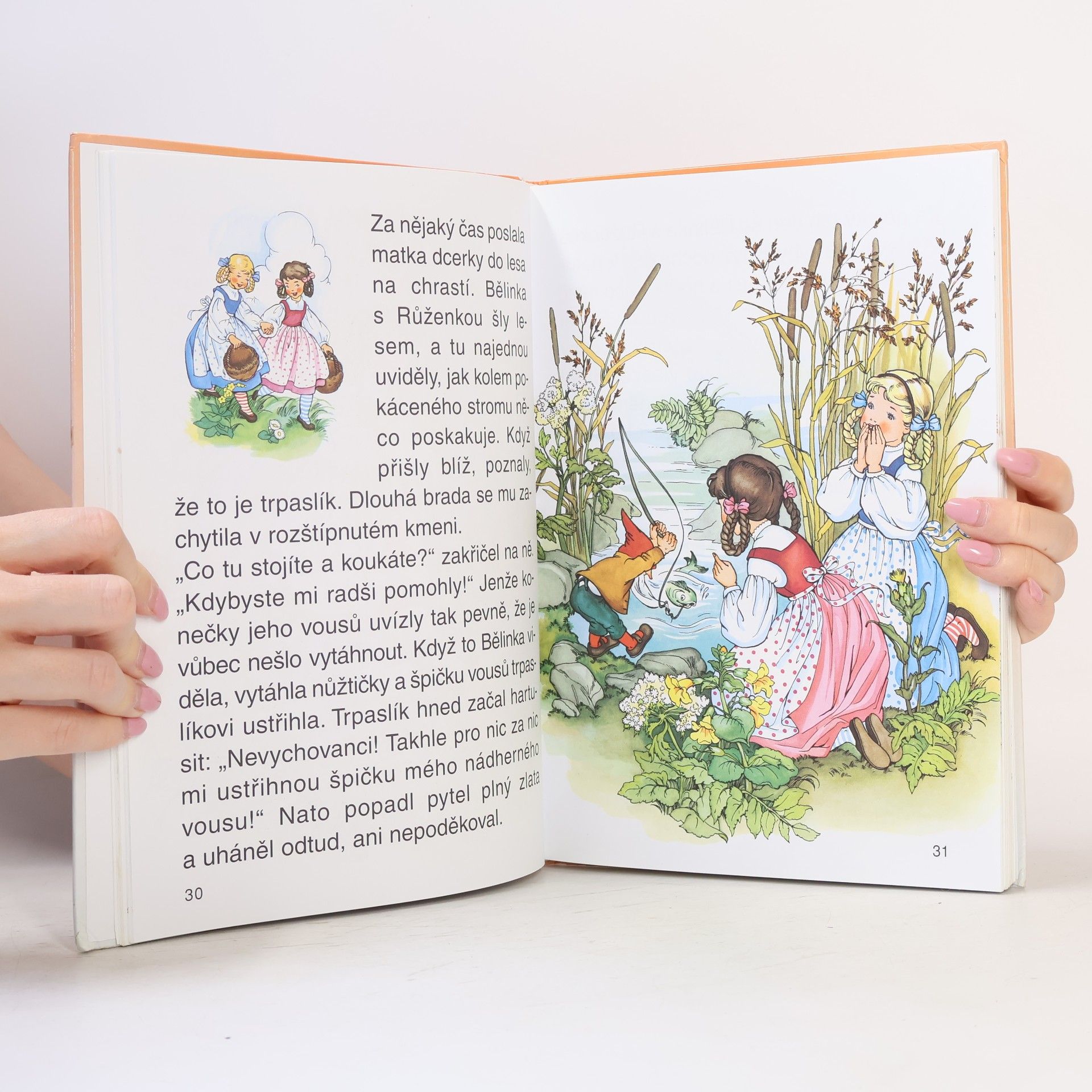Jacob Grimm Nejkrásnější pohádky bratří Grimmů