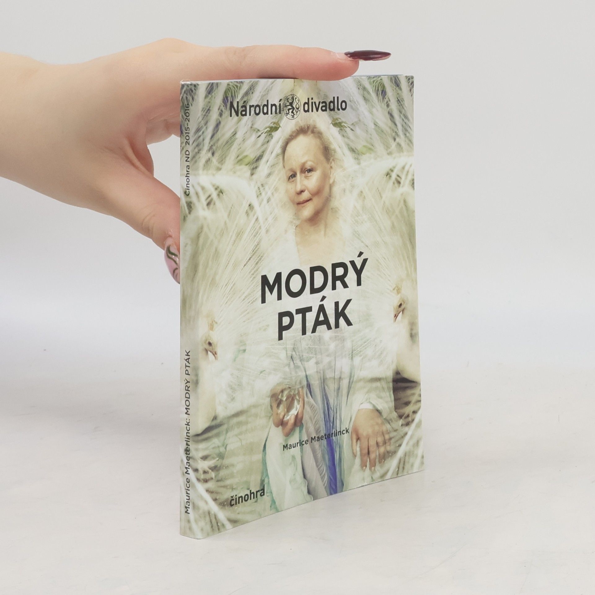 Modrý pták