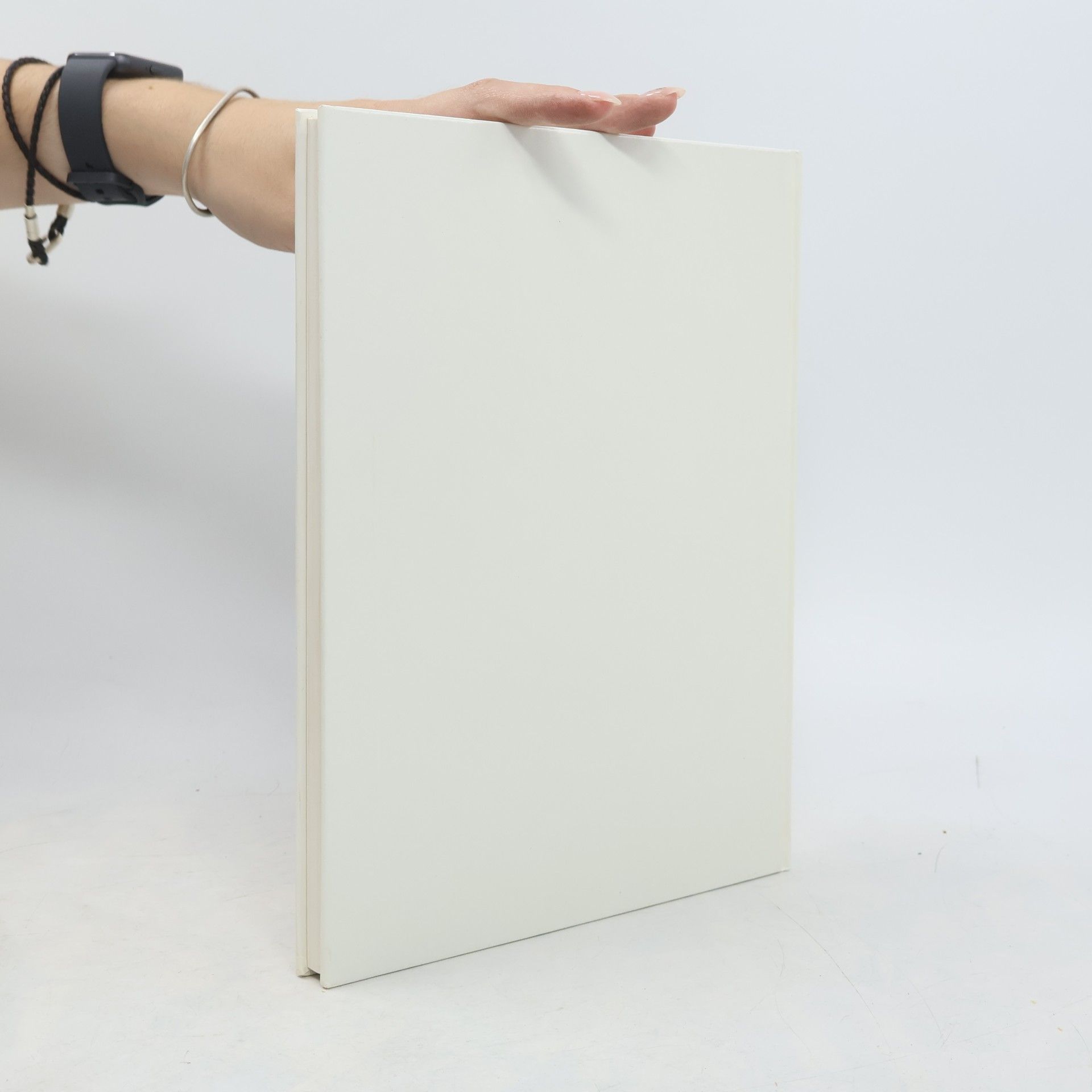 Max Freivogel Eisen. Schmiedehandwerk. Kunsthandwerk. Kunst