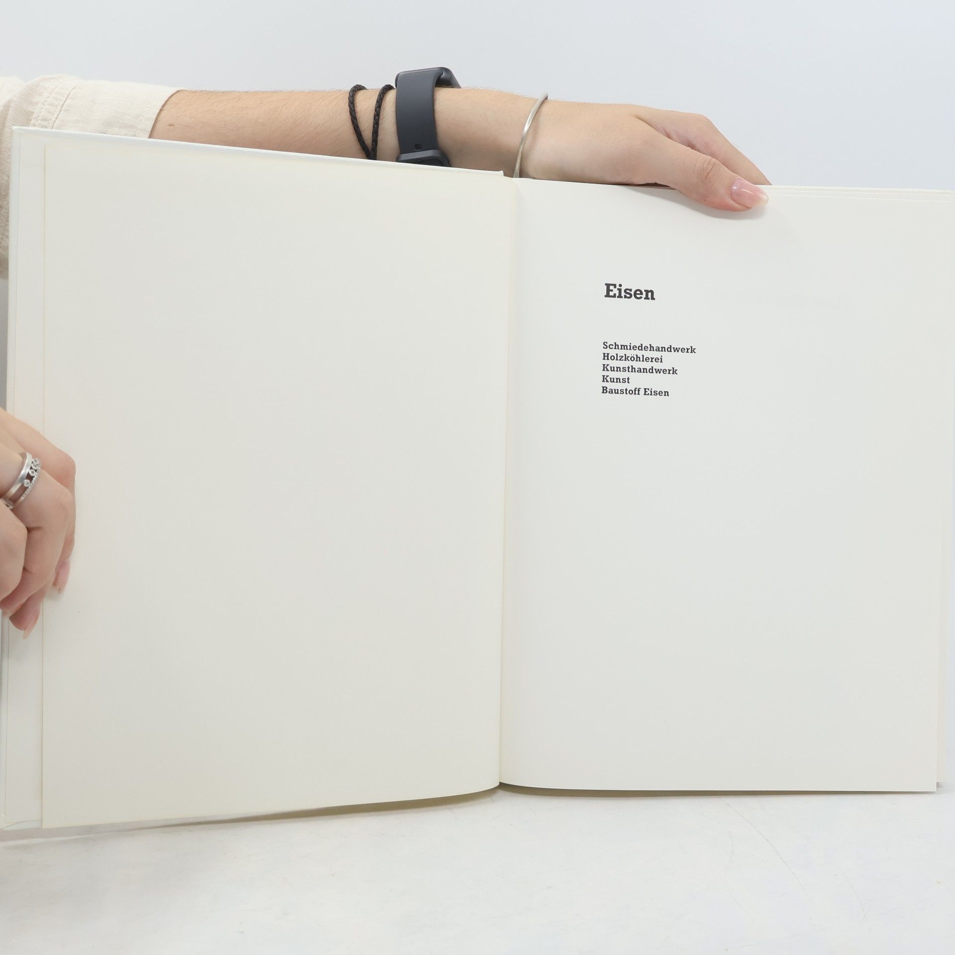 Max Freivogel Eisen. Schmiedehandwerk. Kunsthandwerk. Kunst