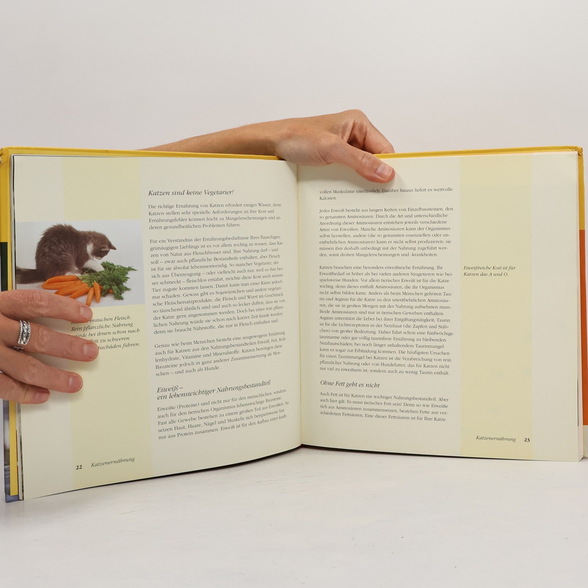 Elisabeth Meyer zu Stieghorst Das Katzenkochbuch